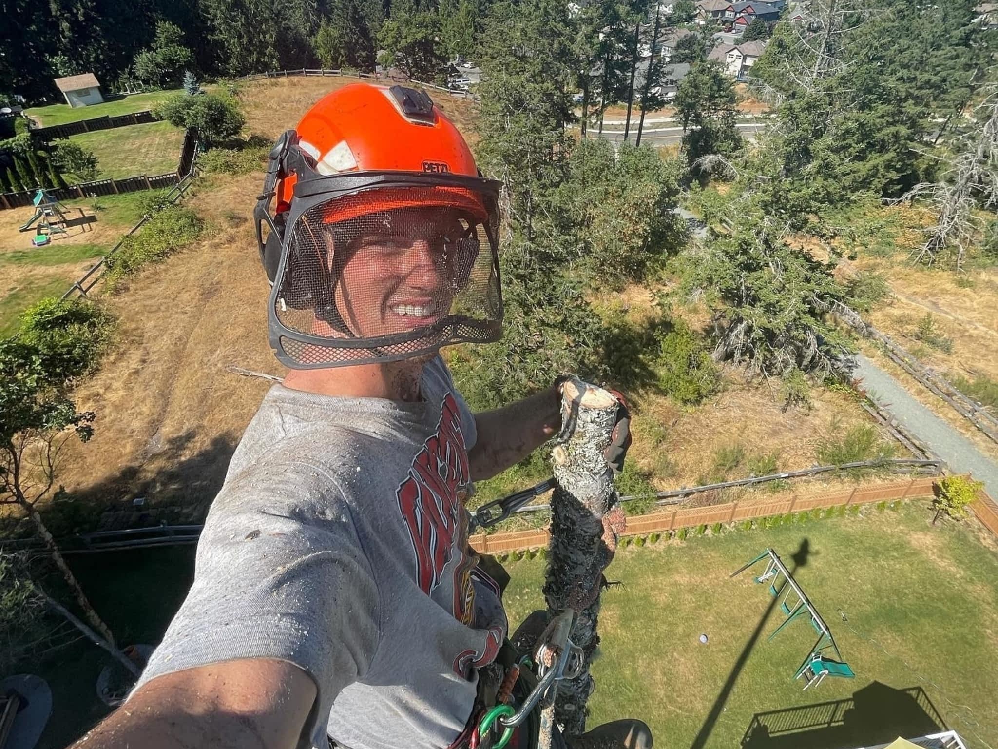 photo Flex Tree Service