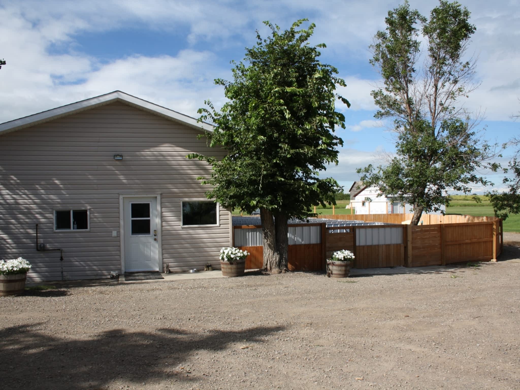 Country Home Kennels Canpages