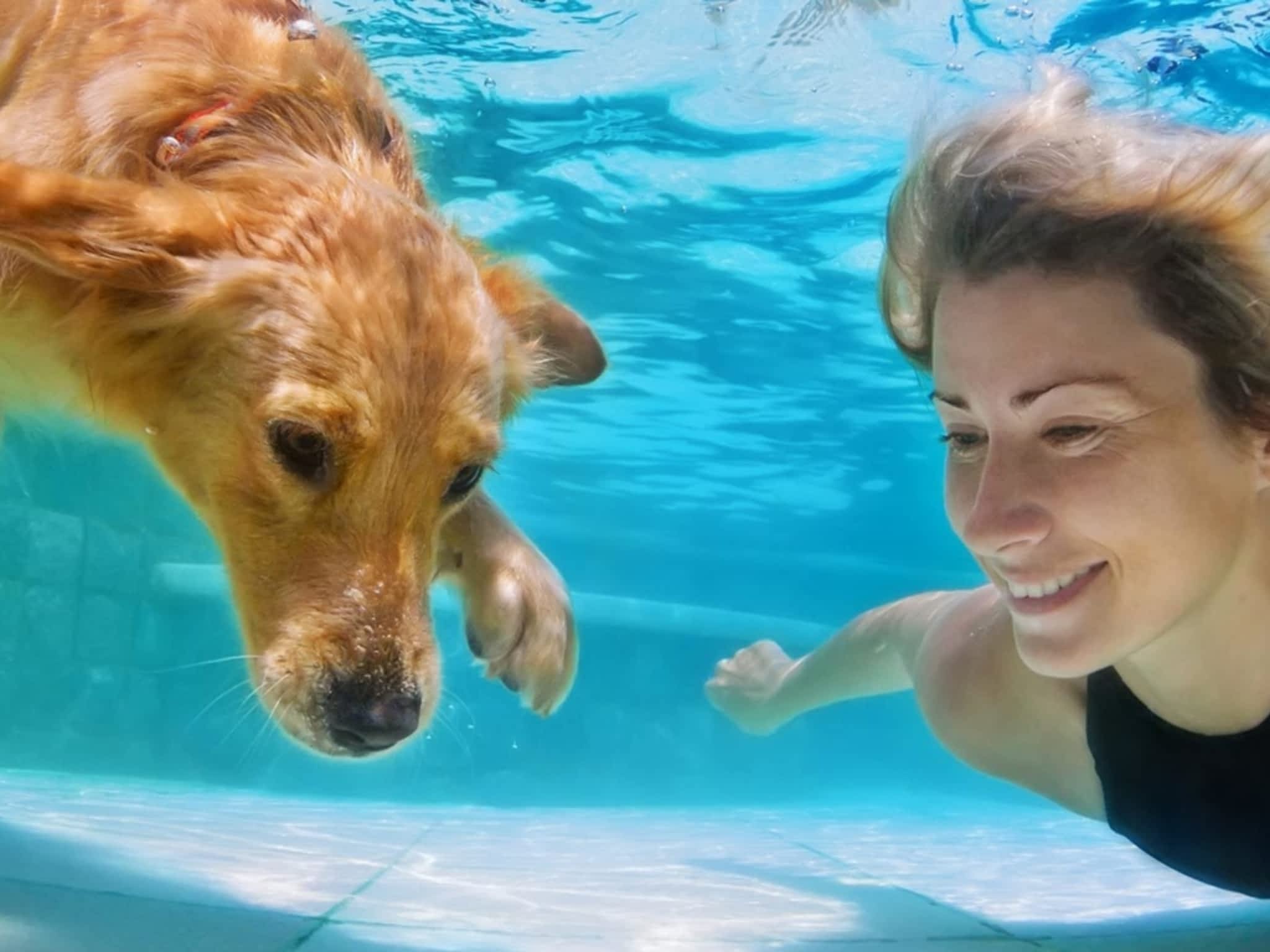 photo Side Lines Distribution