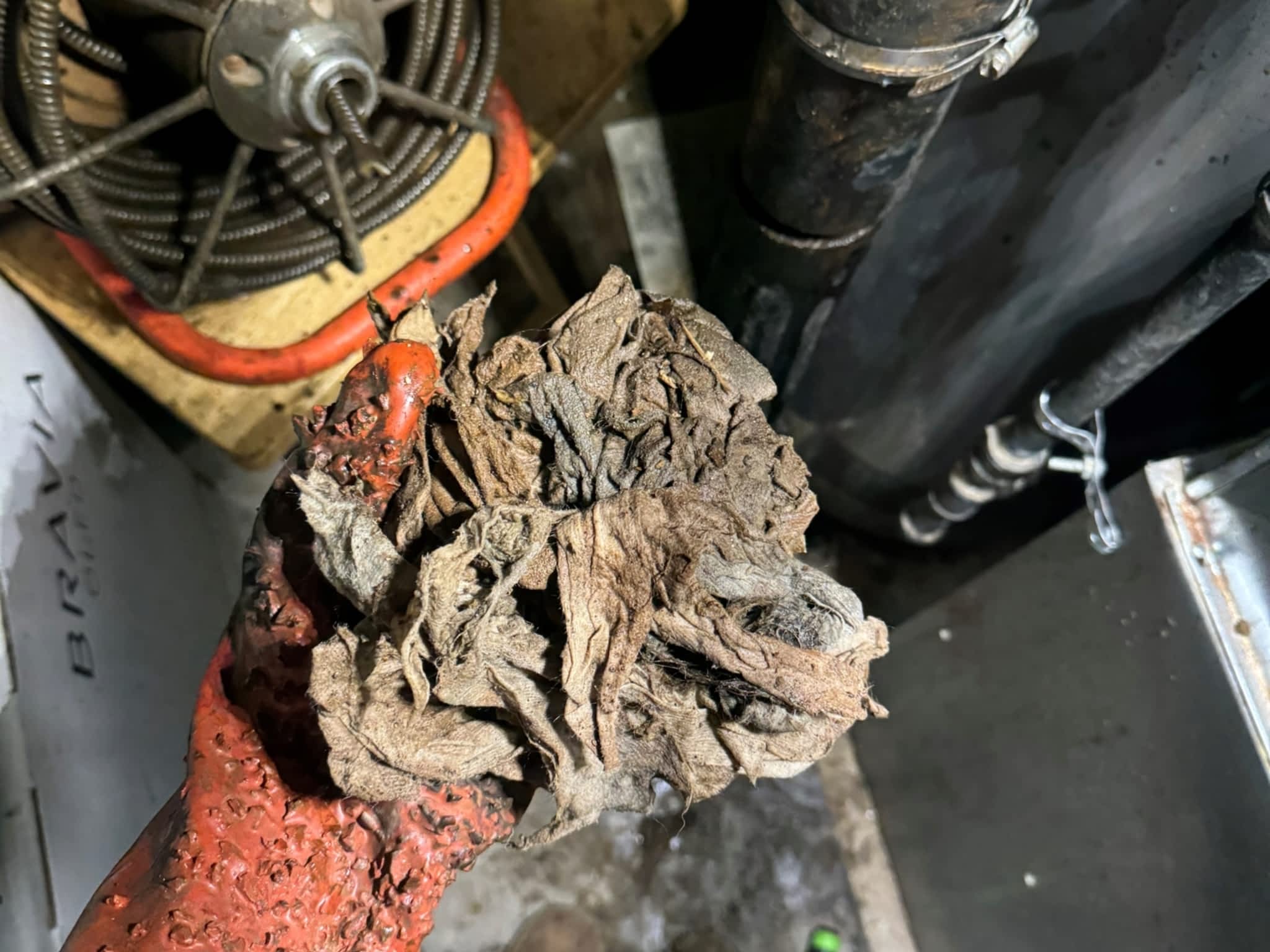 photo All Clear Drain Services