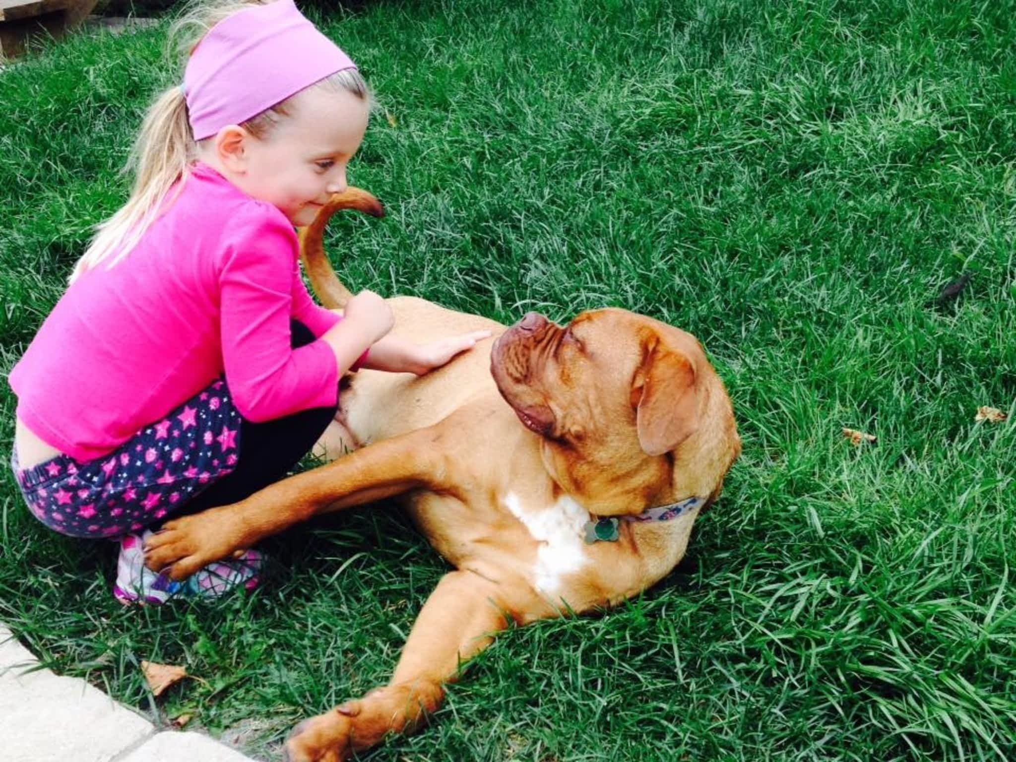 photo Services d'Interventions Mélissa Robitaille