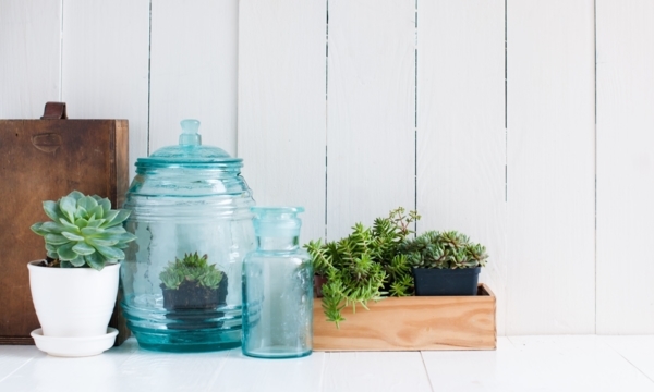 Green boutiques in Toronto that bring the outdoors in