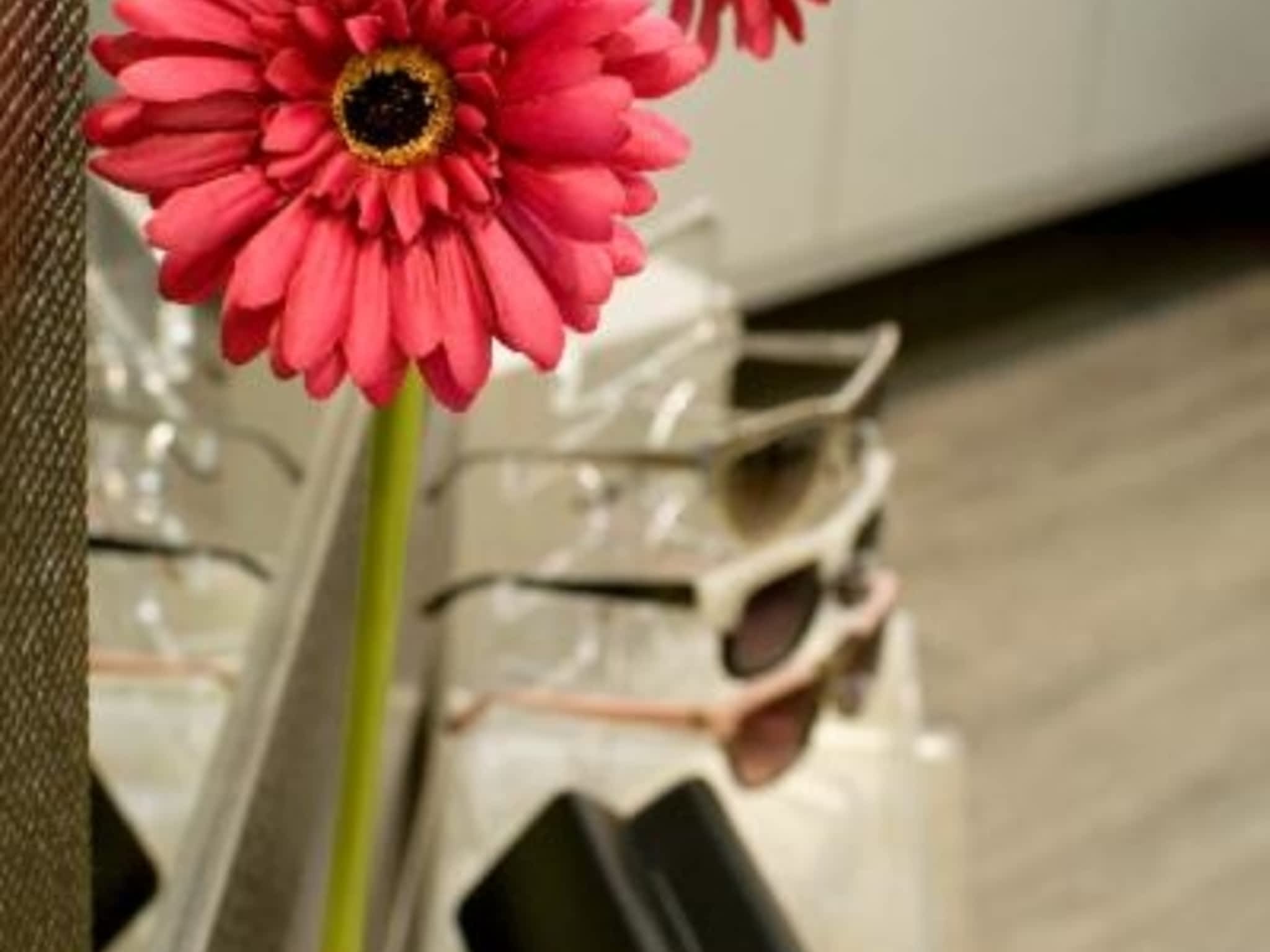 photo Dr Lisa Scharf