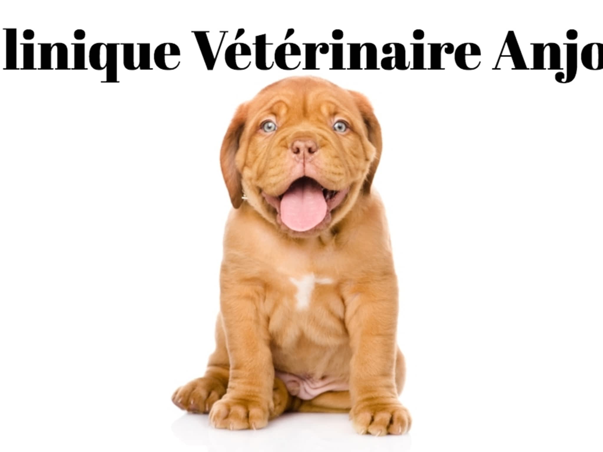 photo Clinique Vétérinaire Anjou