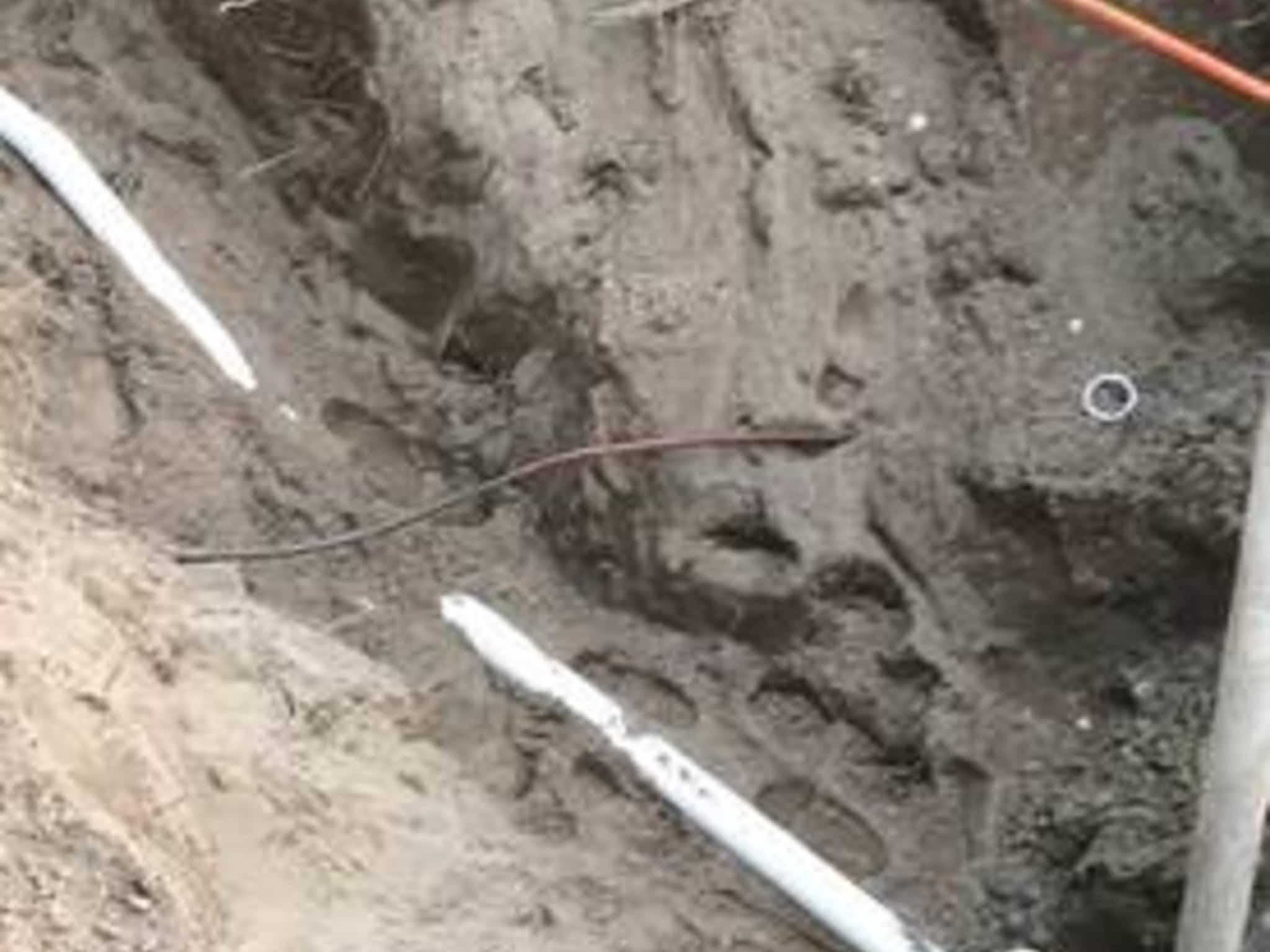 photo Can You Dig It Contracting