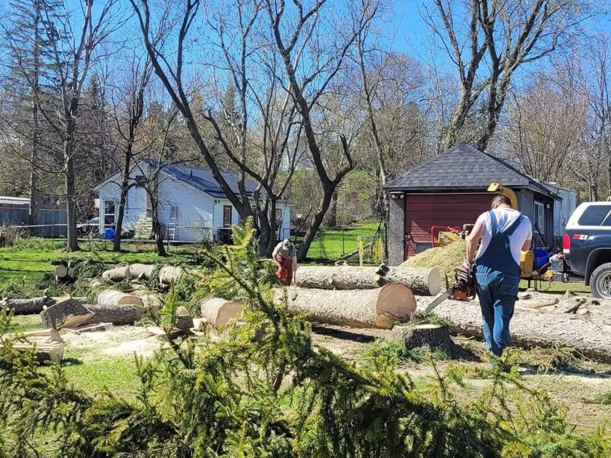 photo Billy Wright Forestry Service