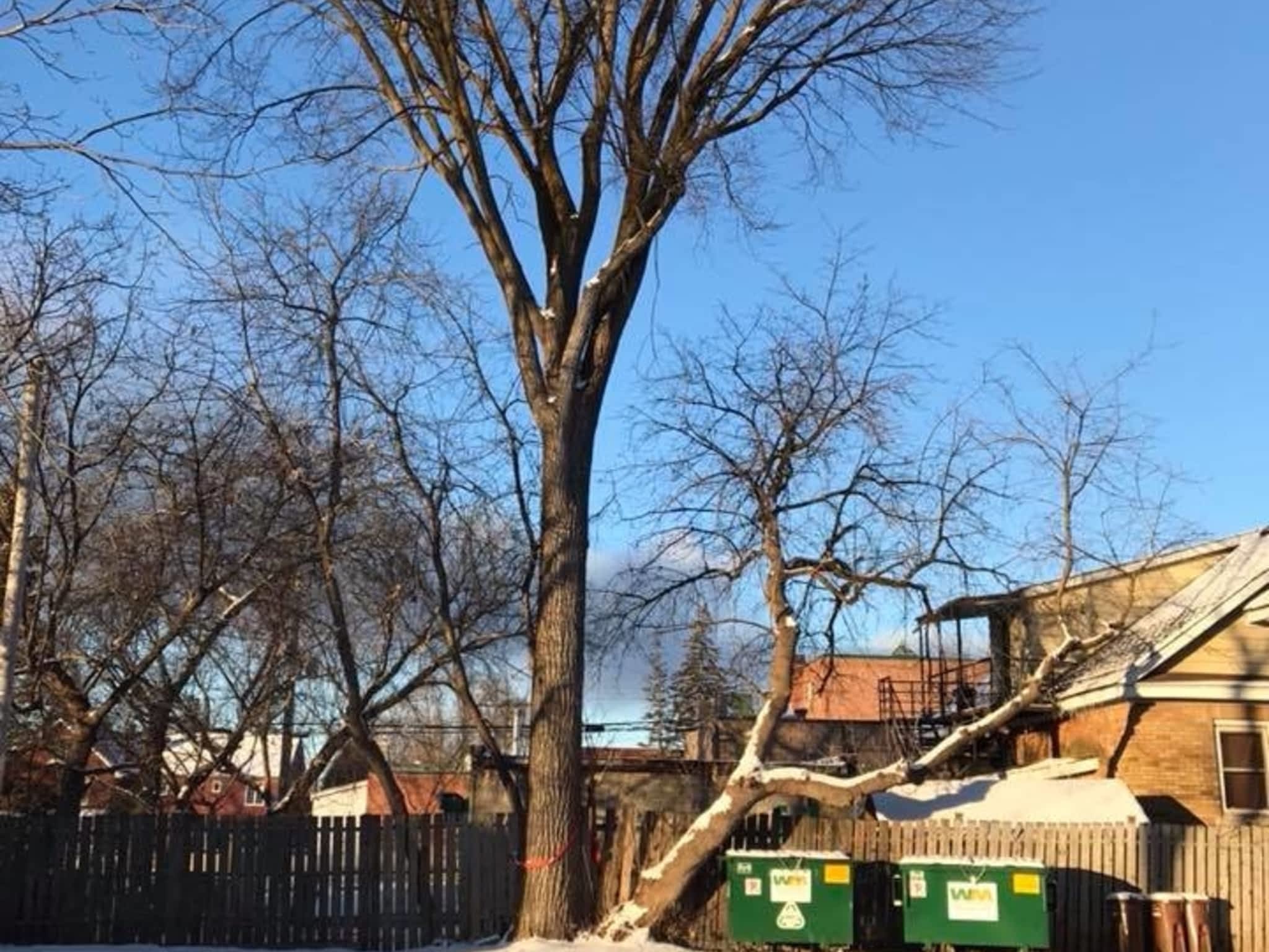 photo Emondage Patrick Perron