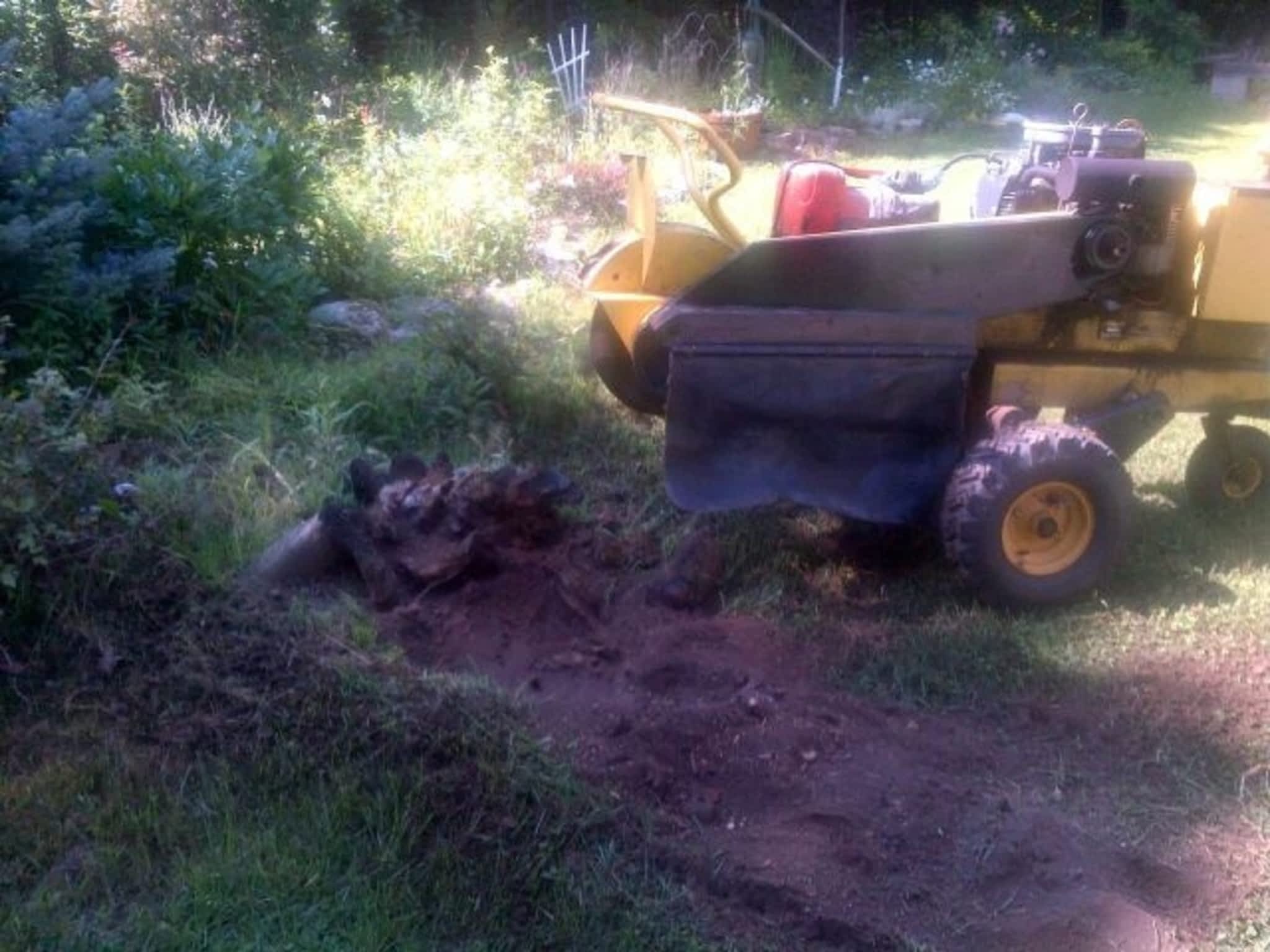 photo Clear View Tree Service