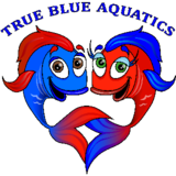 Voir le profil de True Blue Aquatics - Campbell River