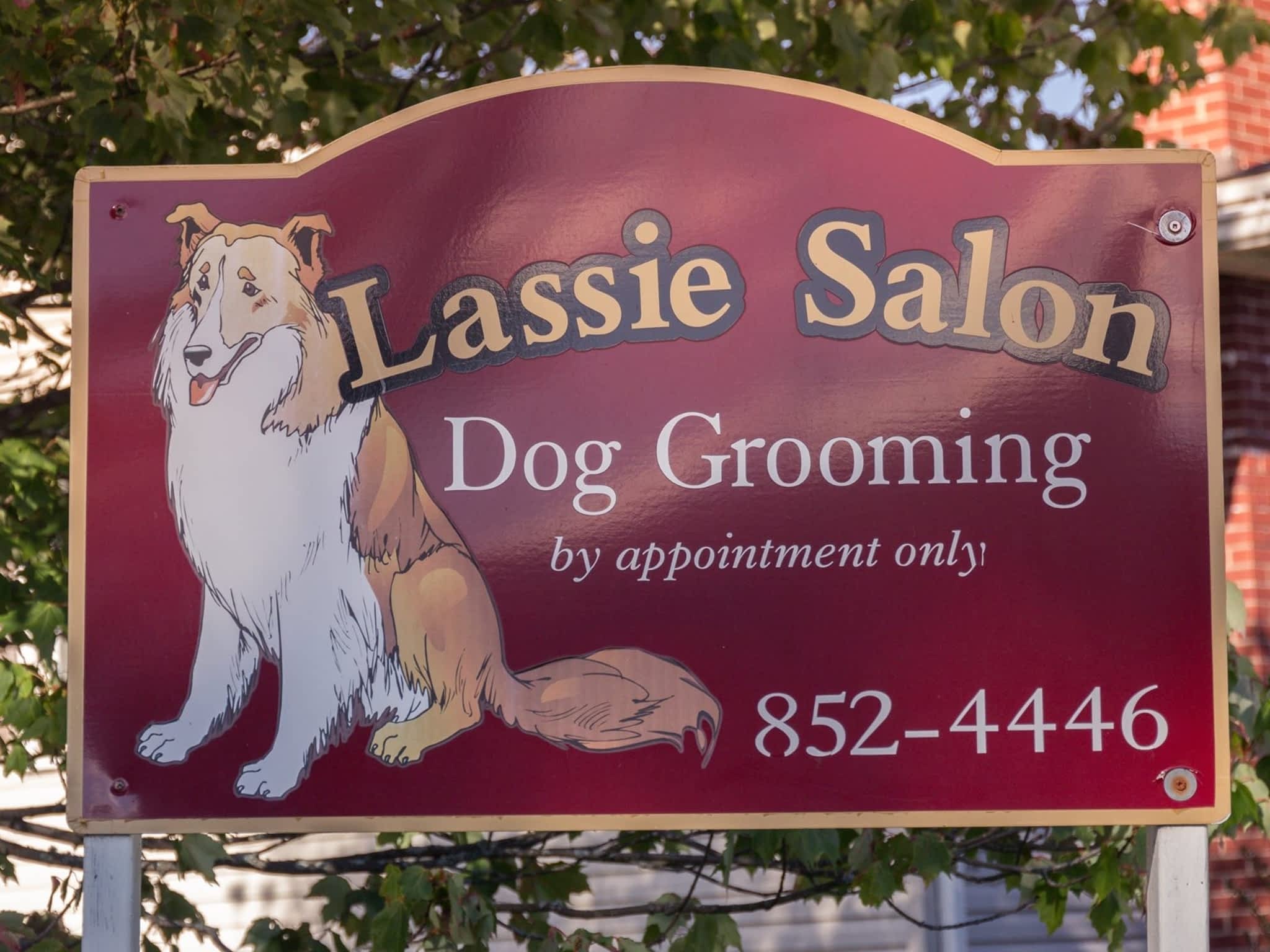 photo Lassie Salon