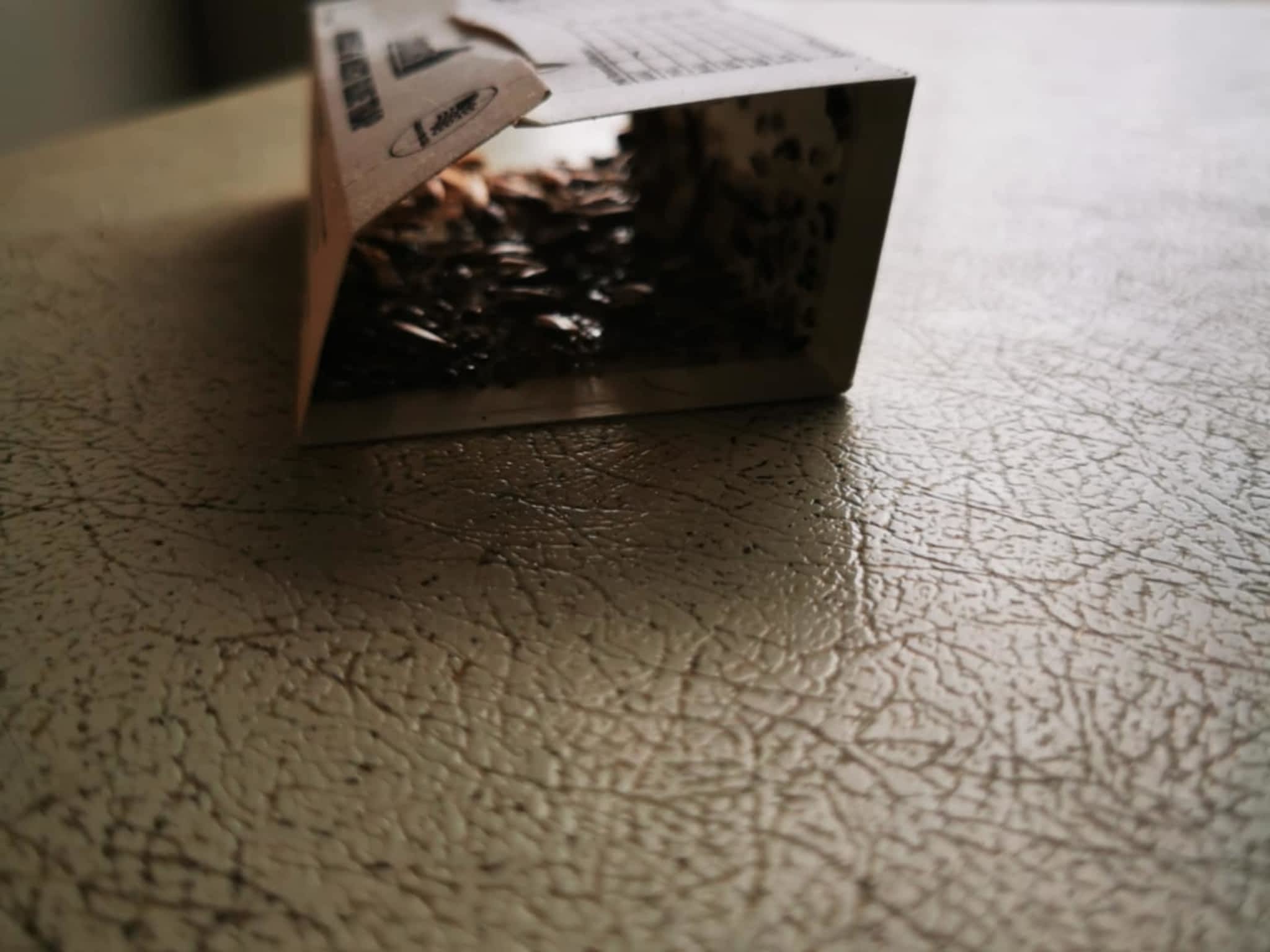 photo D Solution Extermination