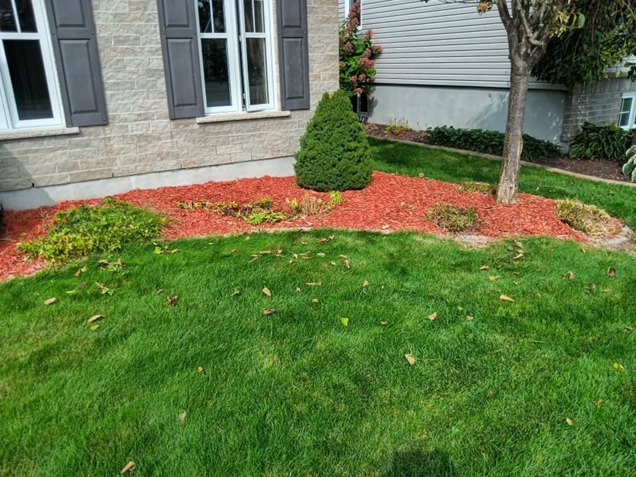 photo Coco Coud' pouce