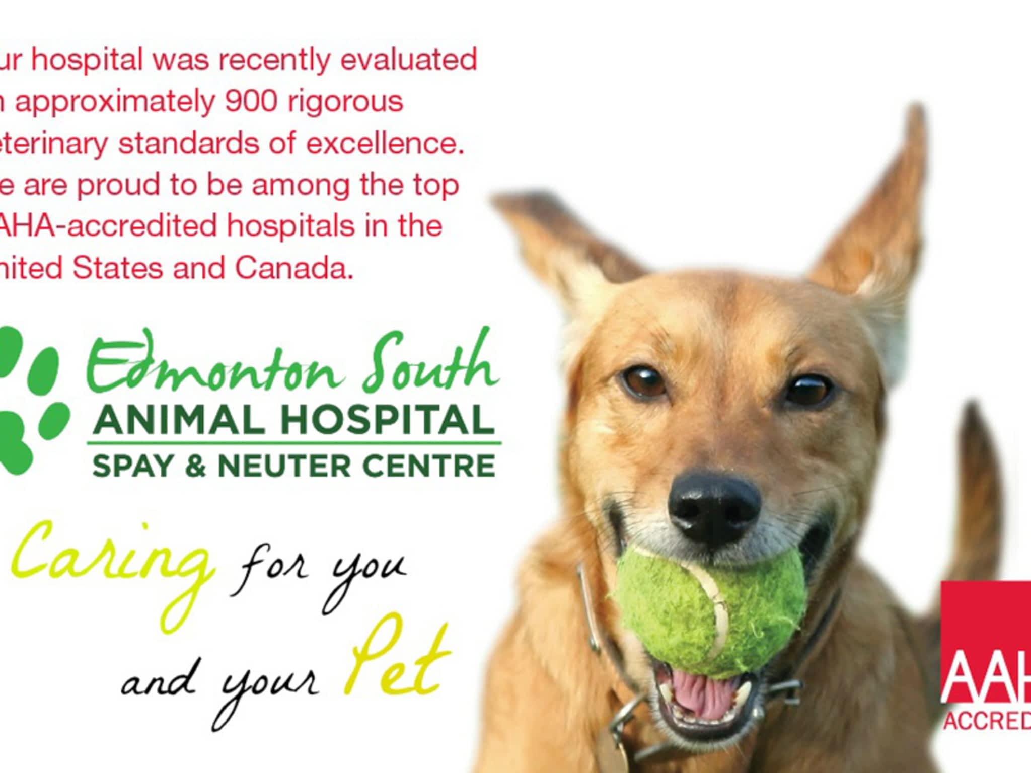 photo Edmonton South Animal Hospital Spay/Neuter Centre