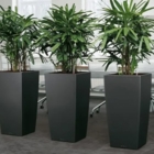 Plants And Company Ltd - Indoor Plant Stores