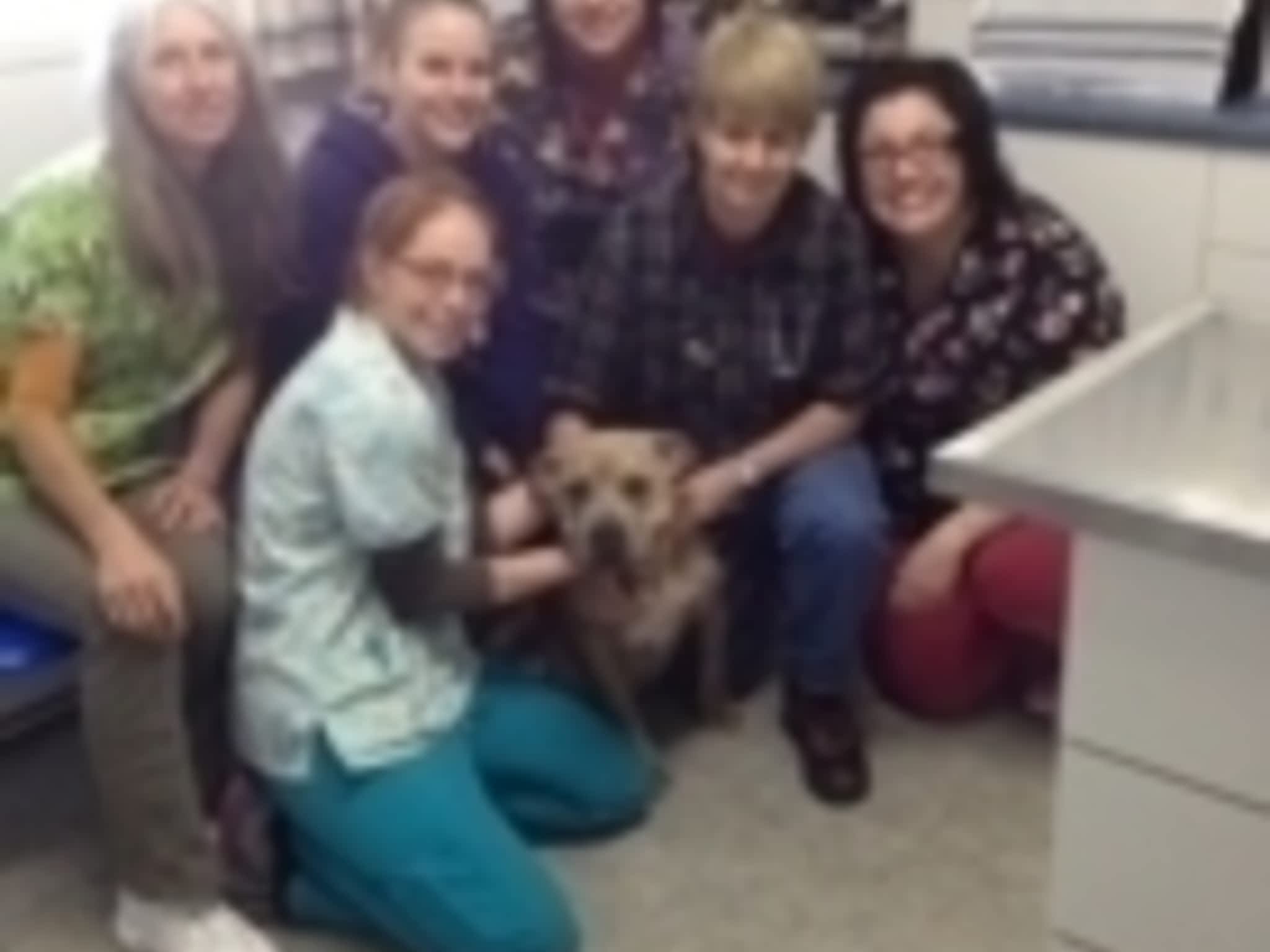 photo Dr M E Themens