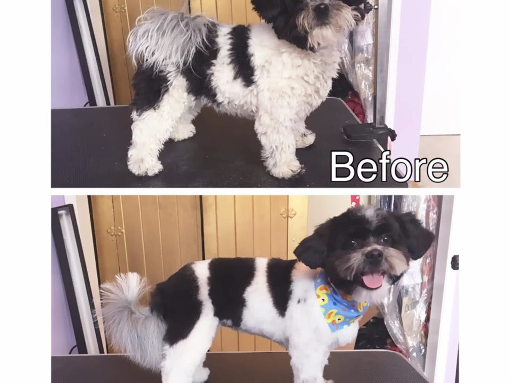 photo Tail-rific Dog Grooming