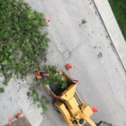 TEK Tree Service - Service d'entretien d'arbres