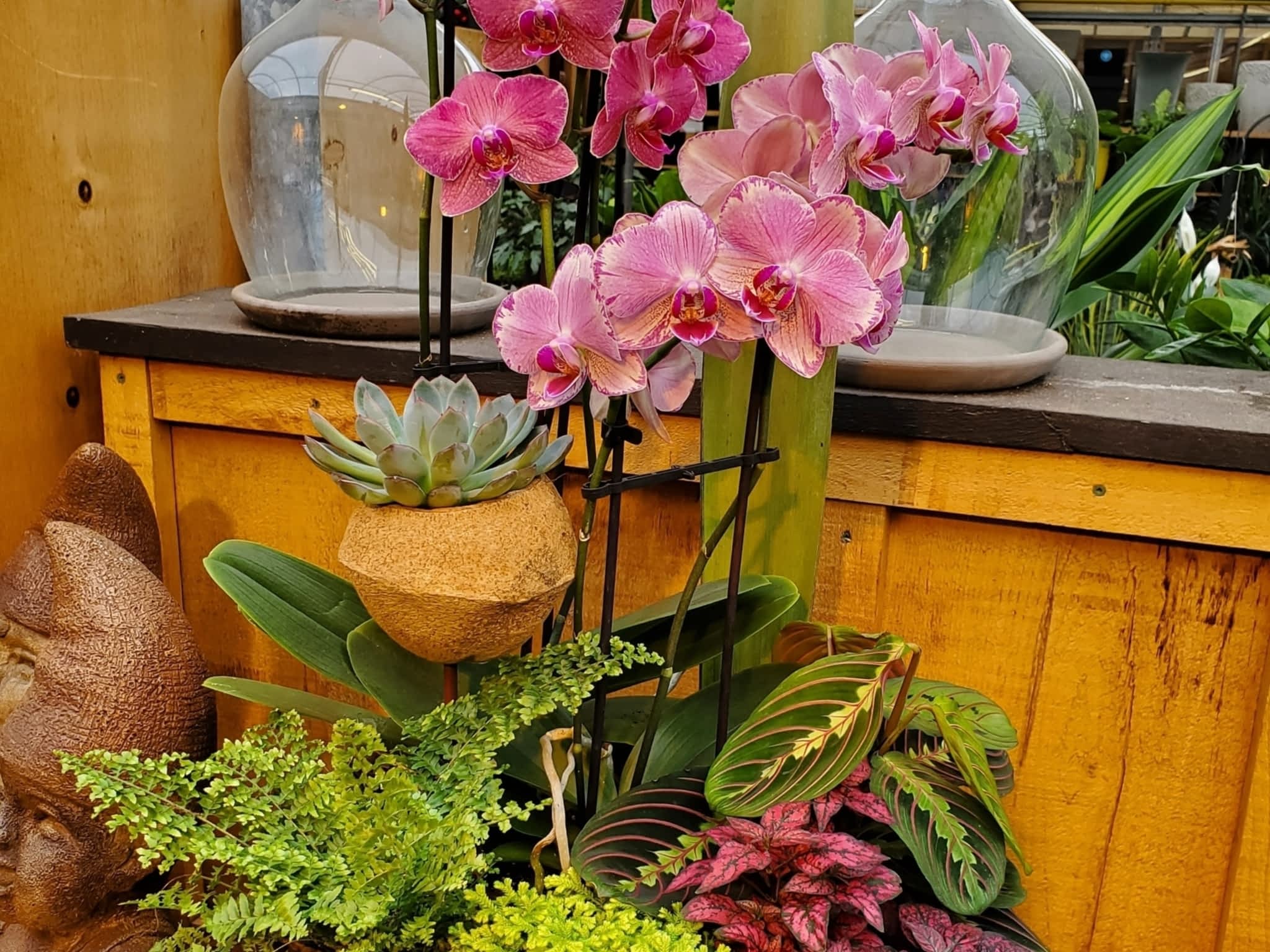 photo Cole's Florist & Garden Centre