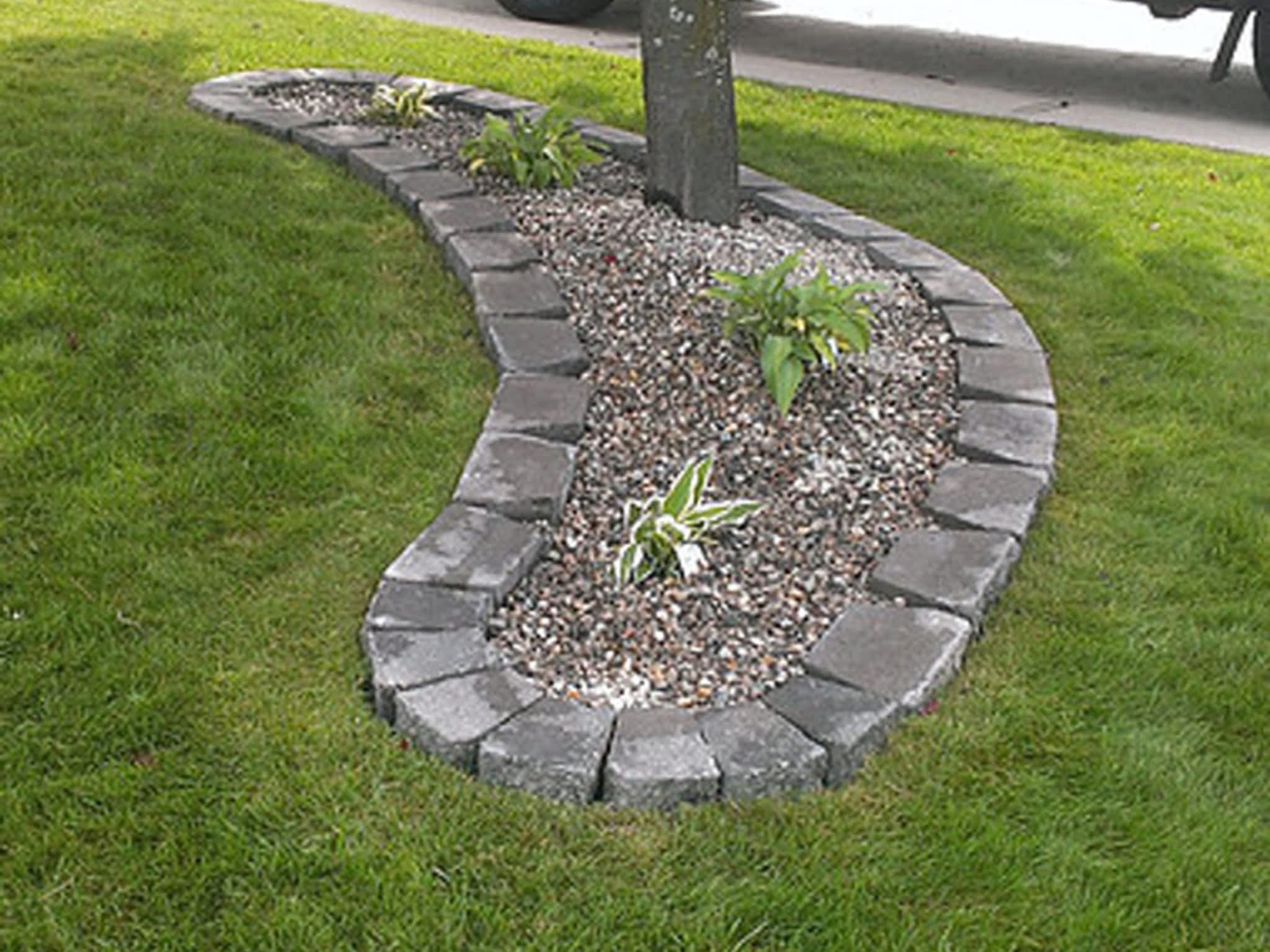 photo Family Tree Gardening