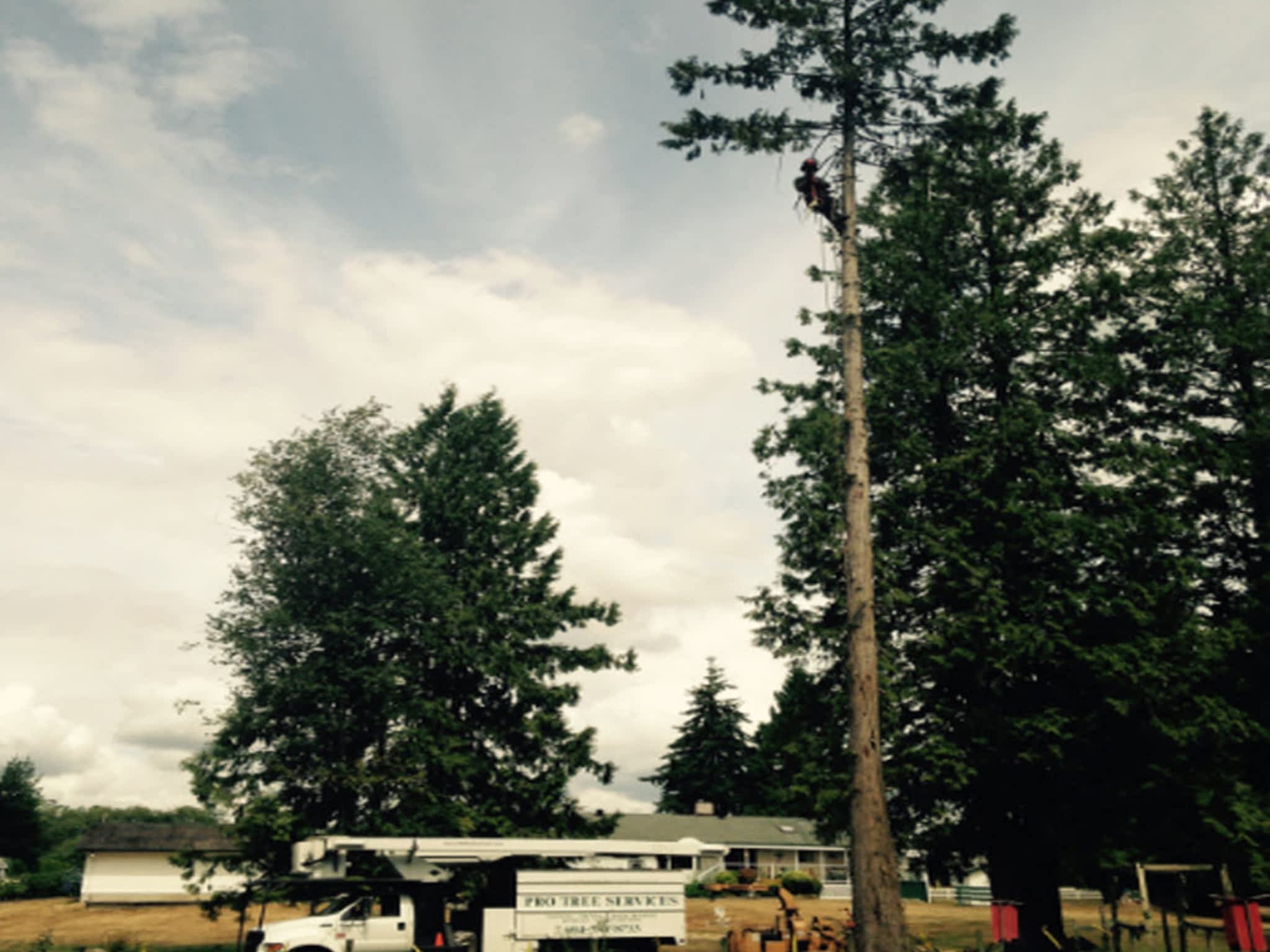 photo Pro Tree Services