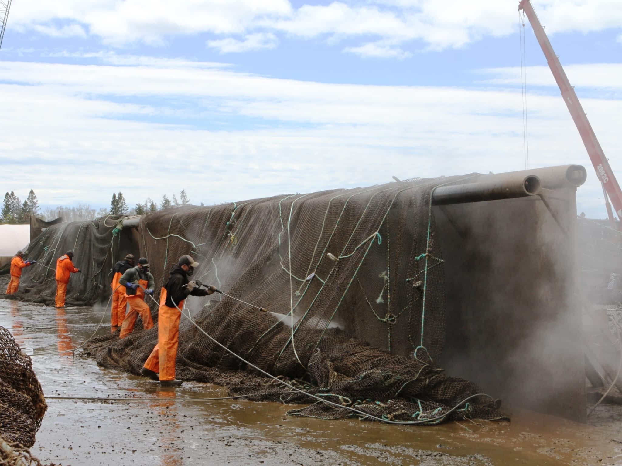 photo Future Nets Crane Service