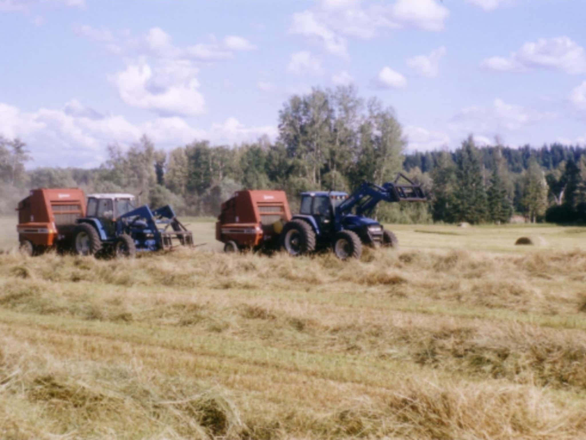 photo Lazy F D Ranches & Hay Sales Ltd