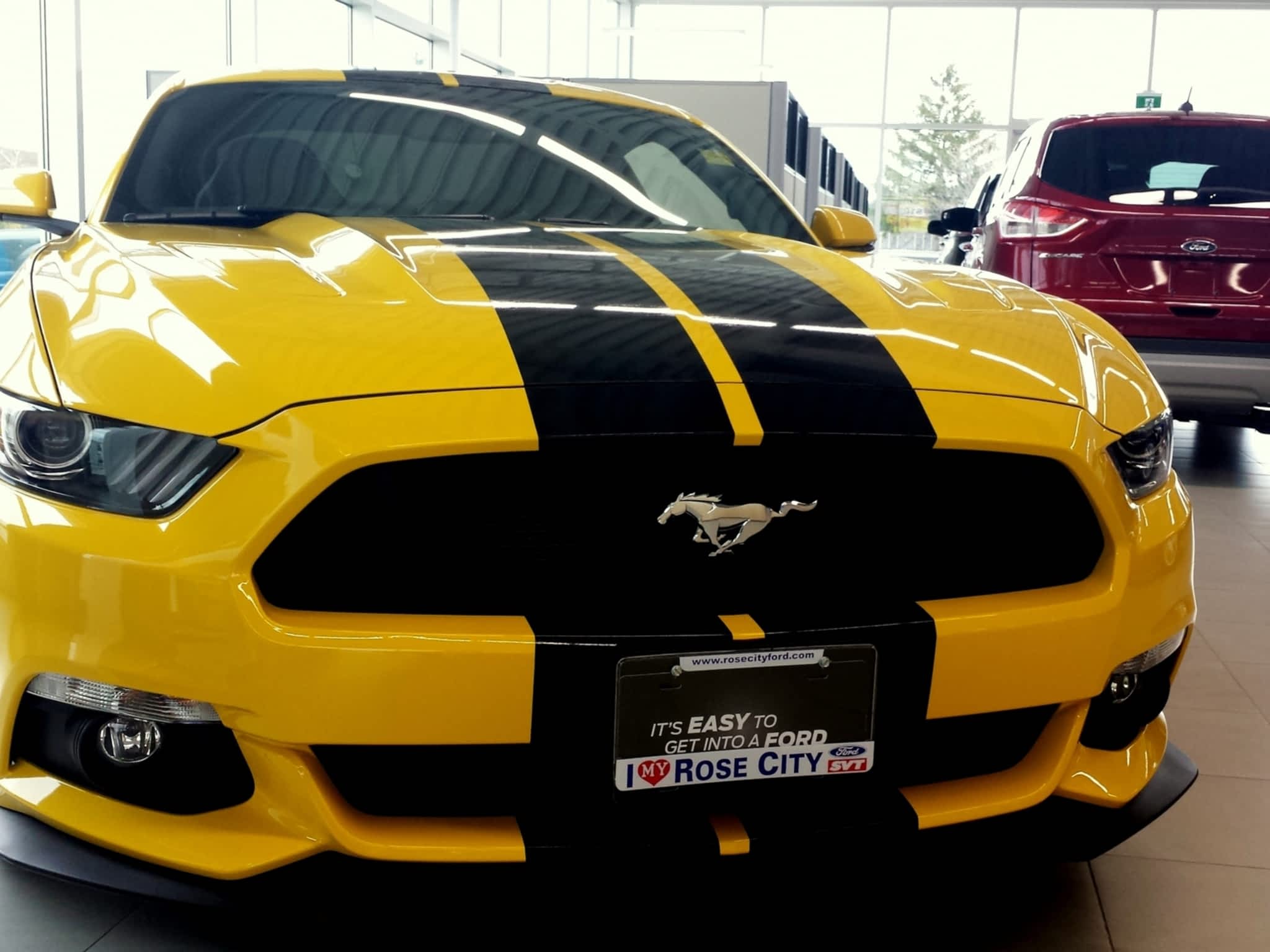 Rose City Ford Sales Limited Windsor, ON 6333 Tecumseh Rd E Canpages