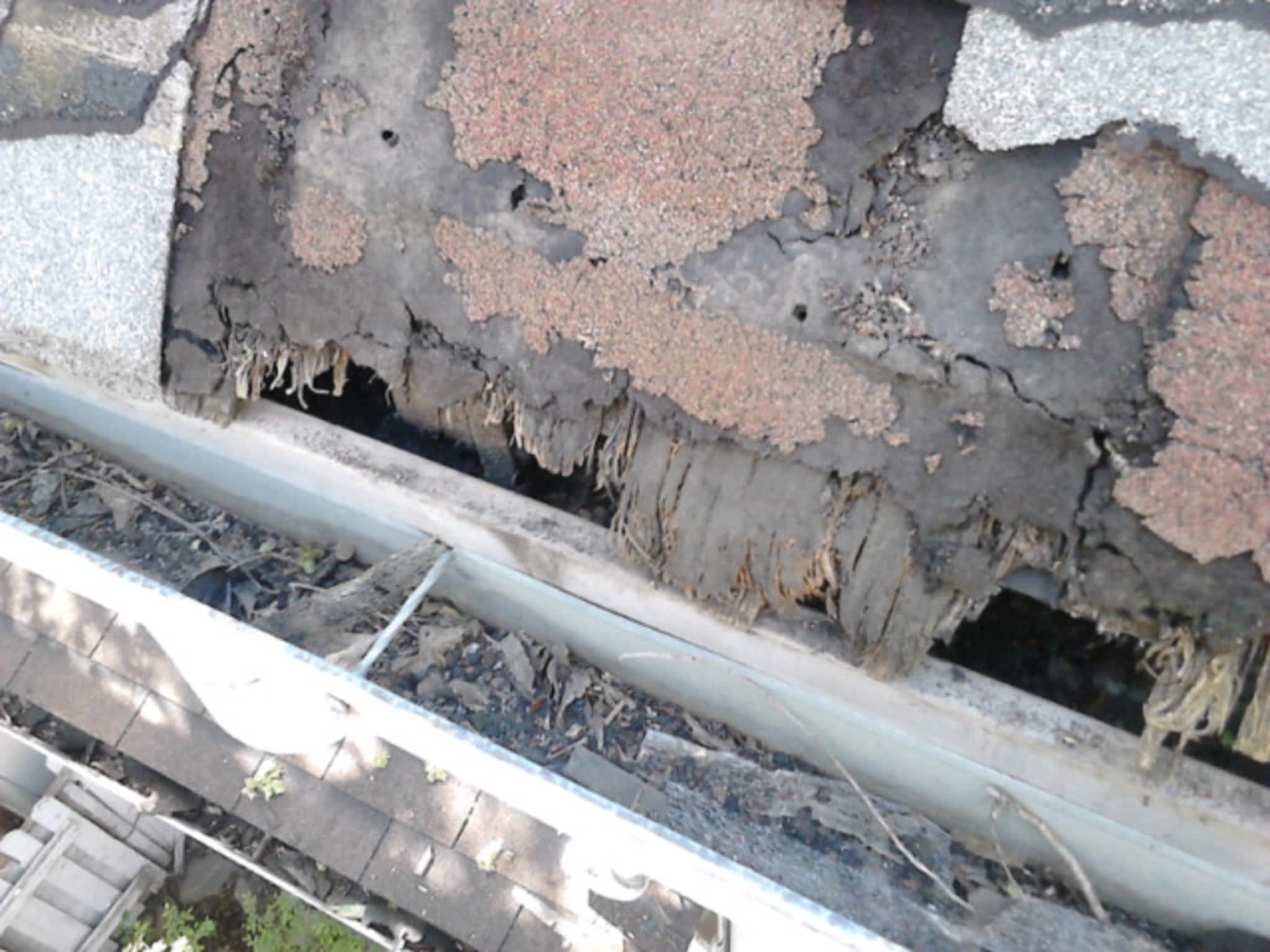 photo AAA Contracting