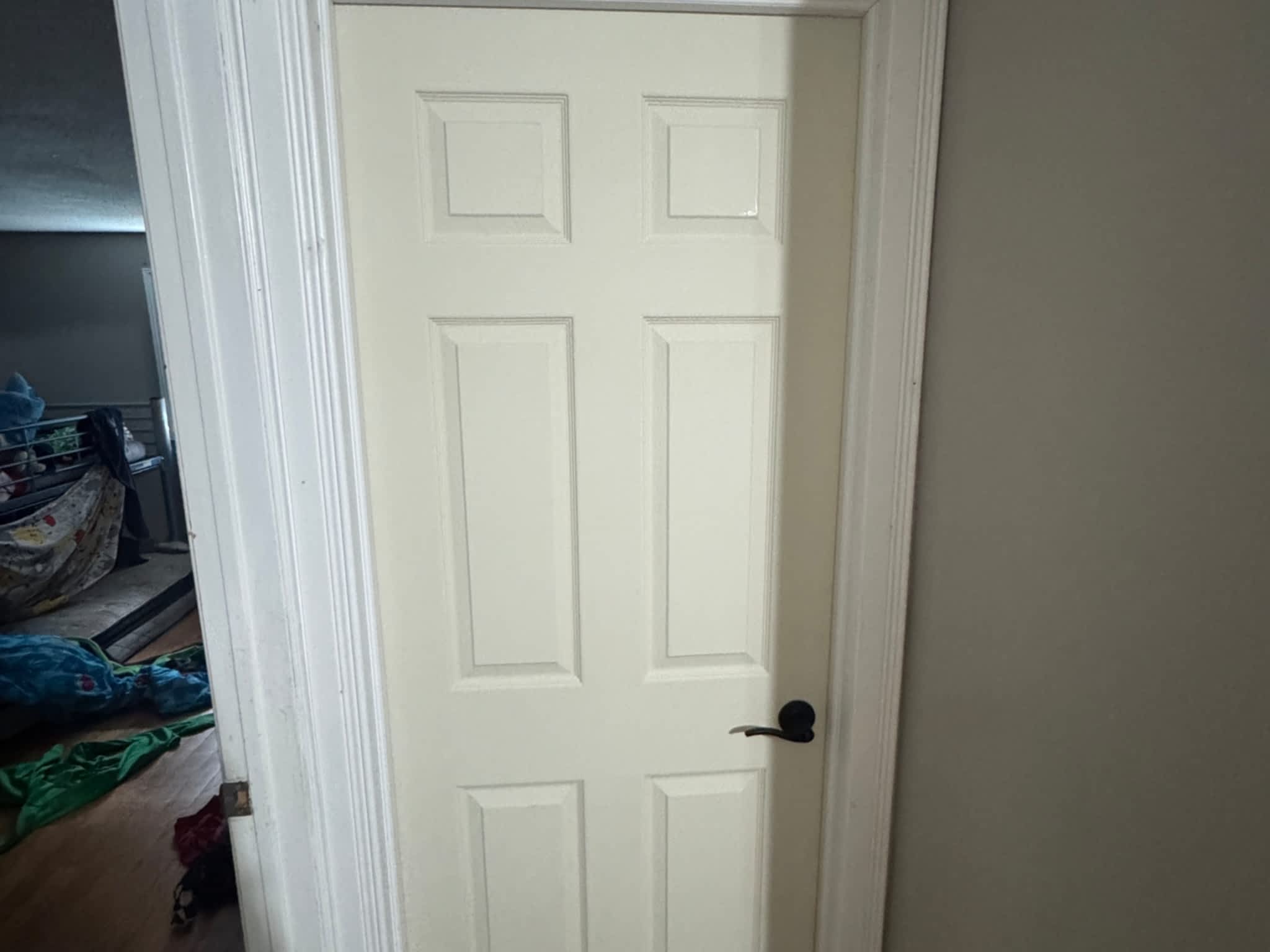 photo DoorTech Services