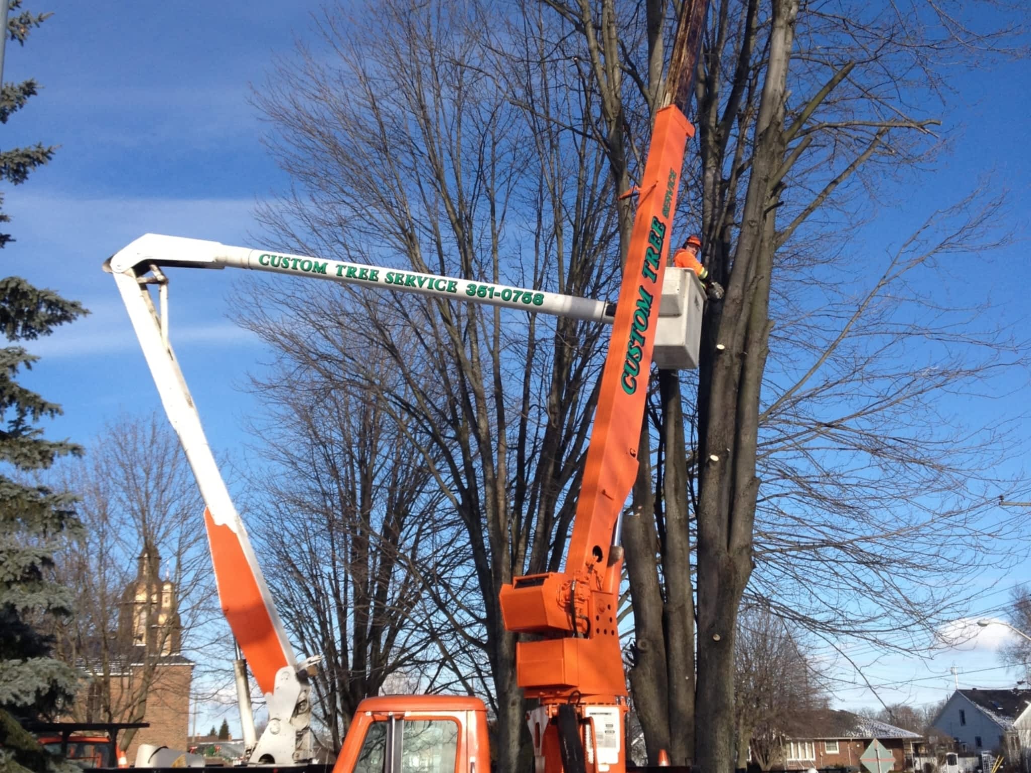 photo Custom Tree Service