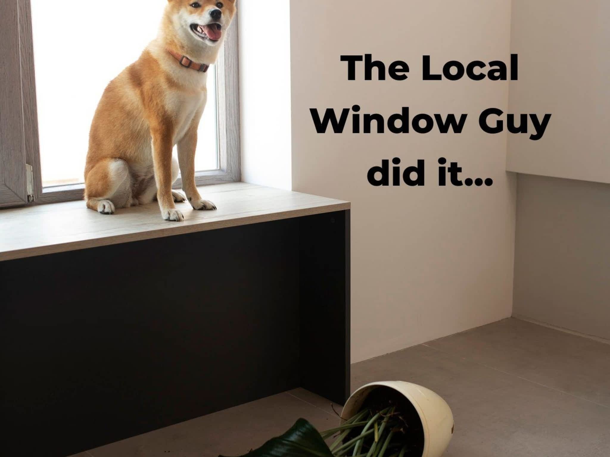 photo The Local Window Guy