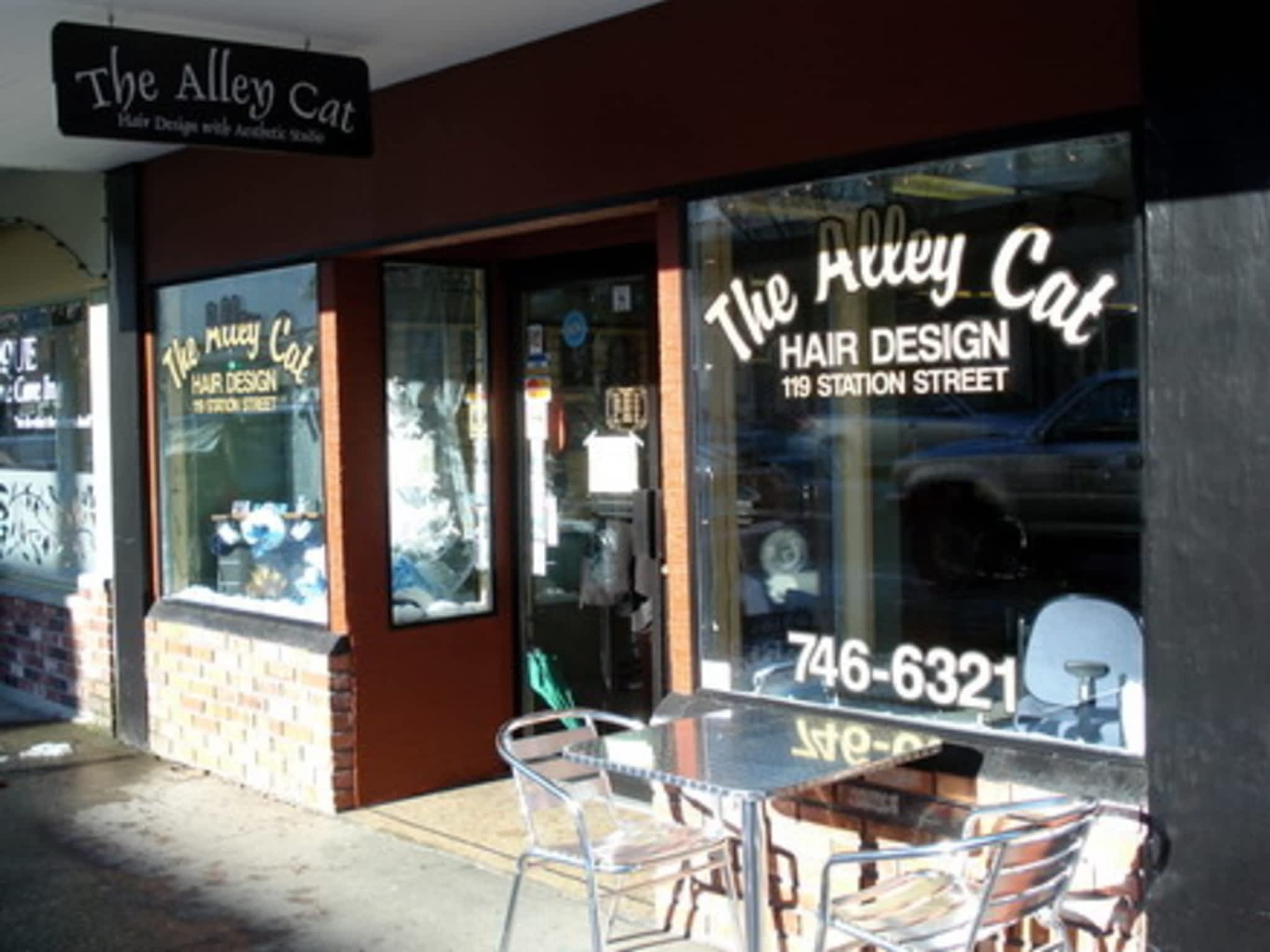 photo The Alley Cat Hair Design