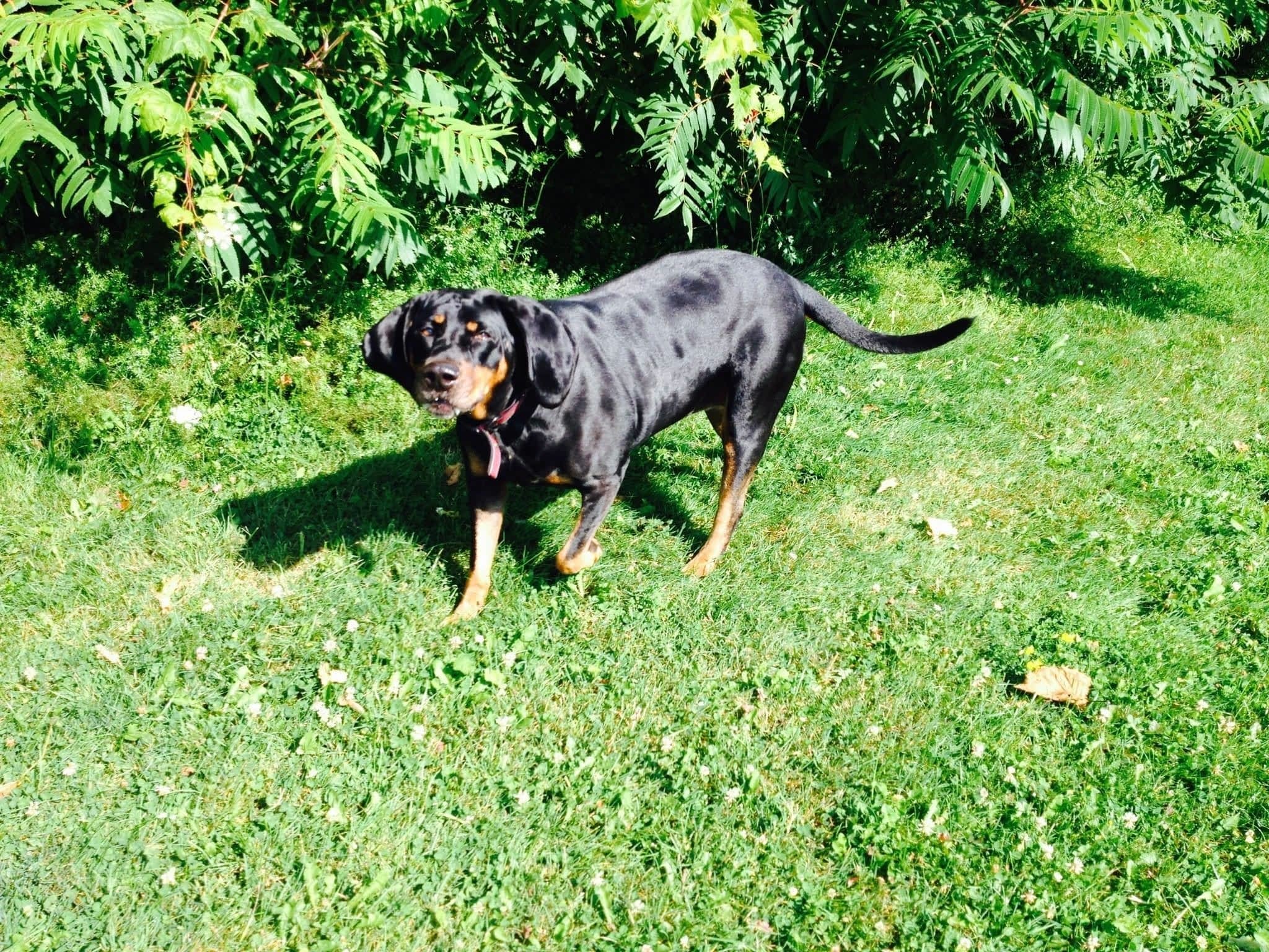 photo Monster Minder