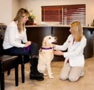 Parkside Animal Hospital Opening Hours 6 Lakeshore Dr North Bay On