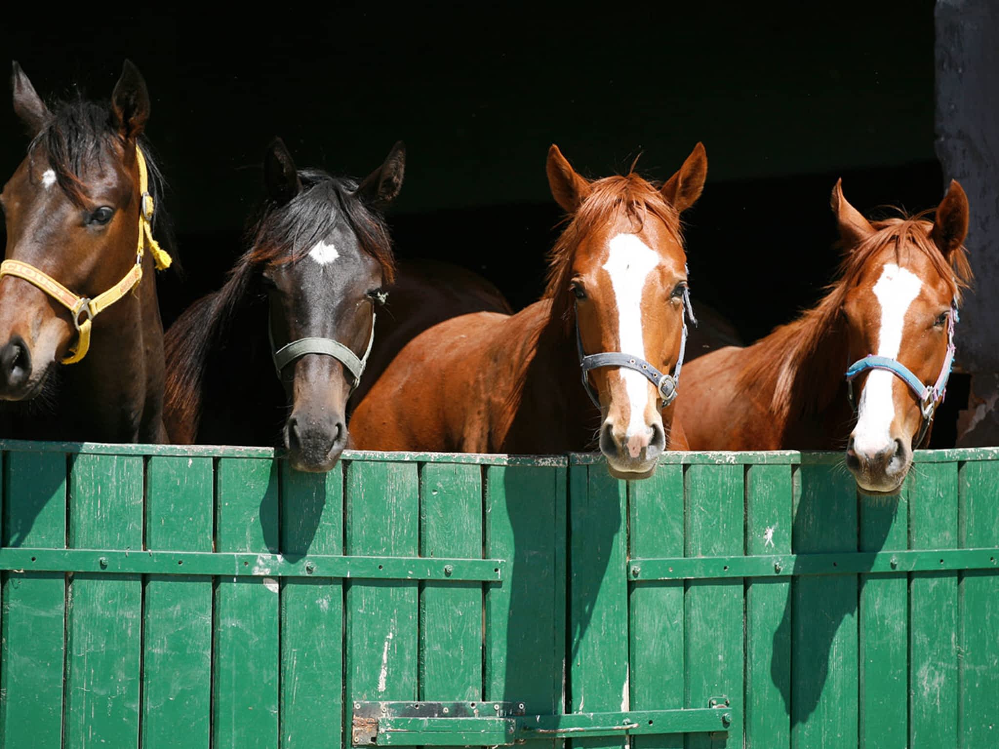 Purity Feed Farm & Garden Centre - Kamloops, BC - 471 Okanagan Way