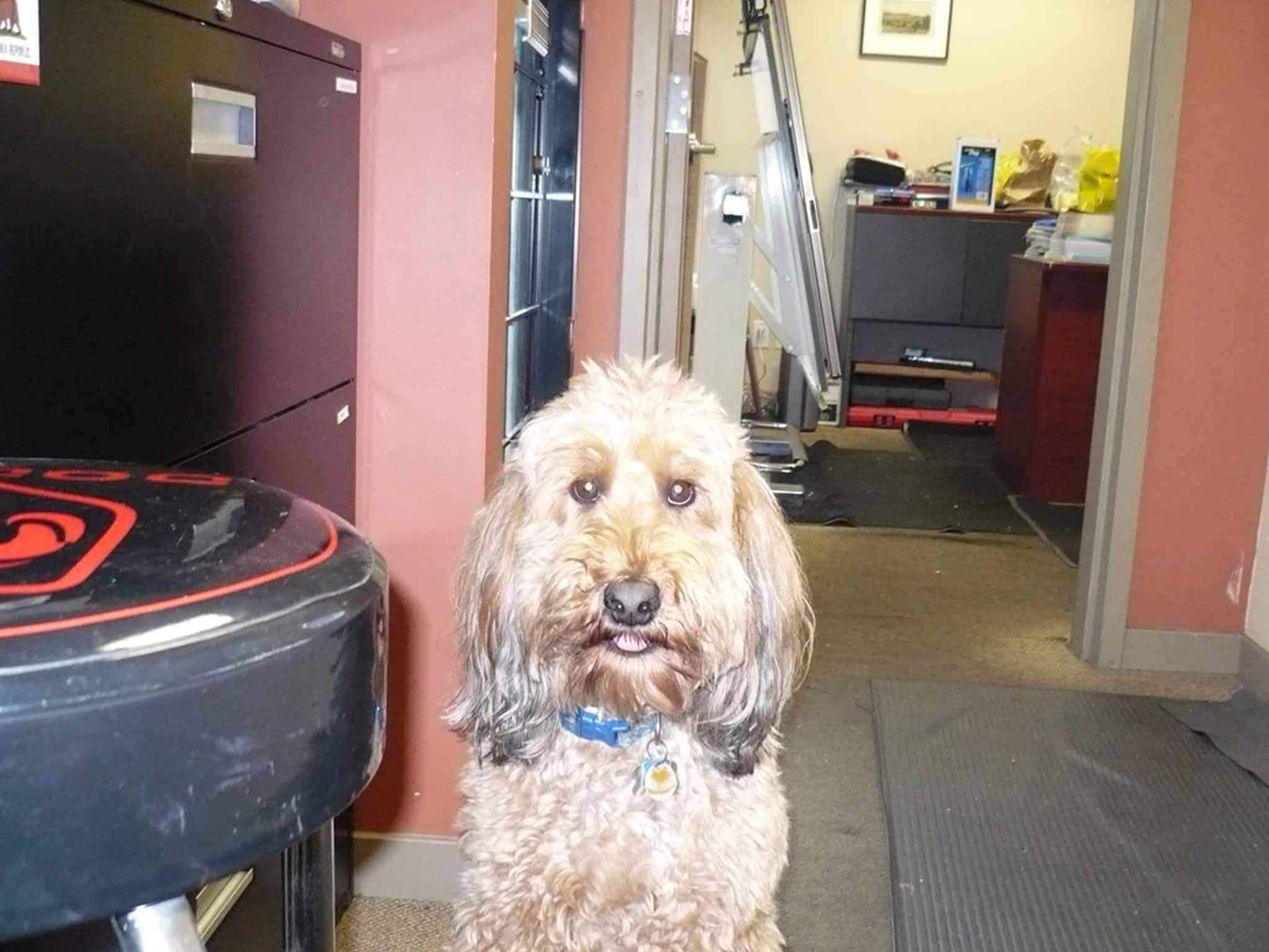 photo Lighthouse Mechanical Services Ltd