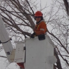 Arborworks Tree Service - Tree Service