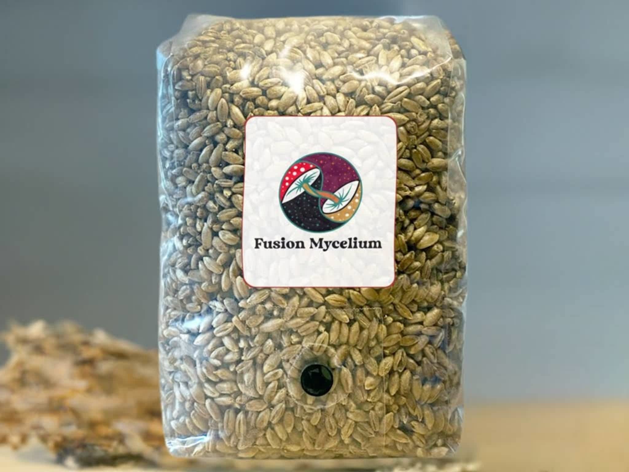 photo Fusion Mycelium
