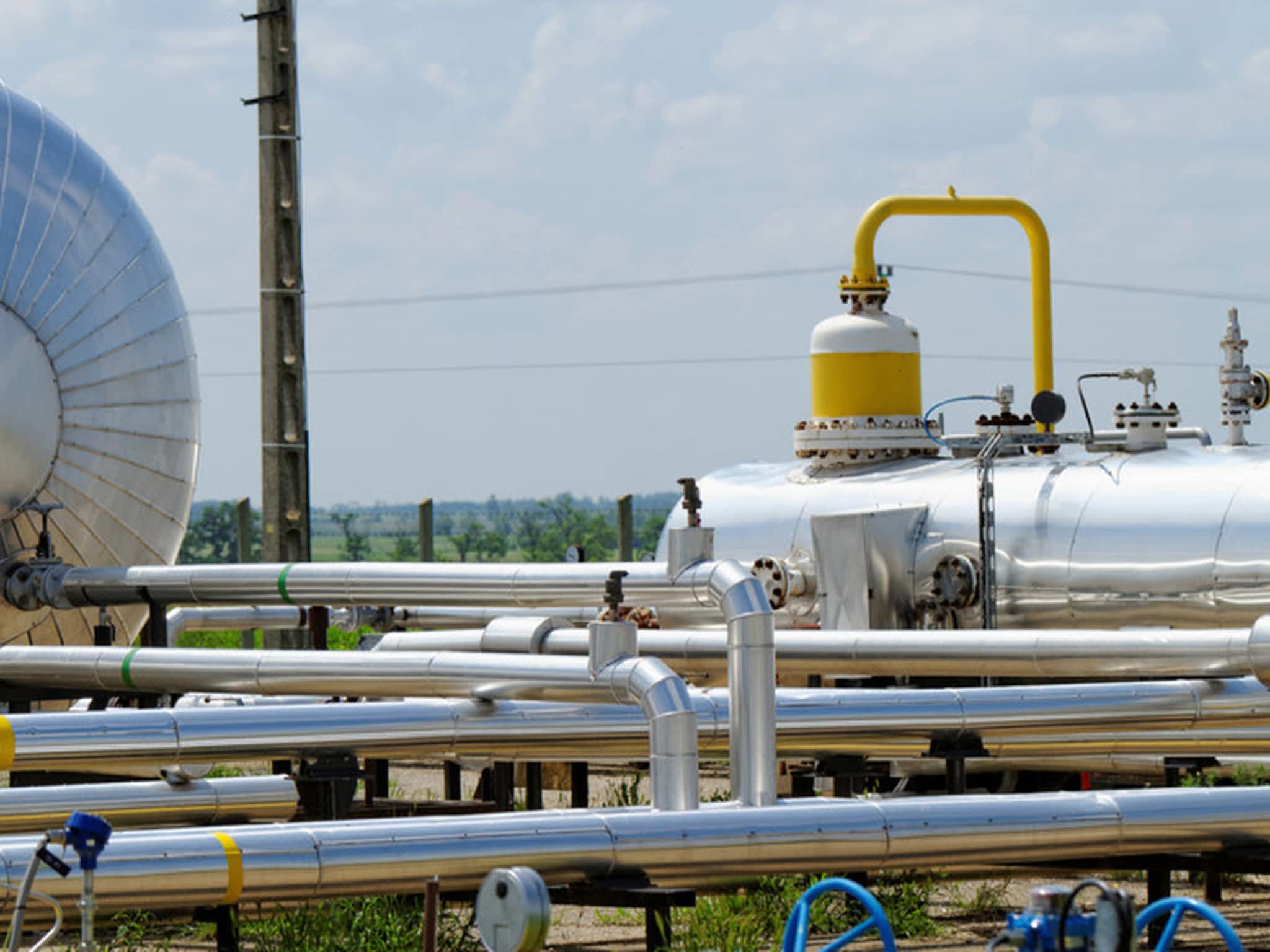 photo PGK Management Ltd