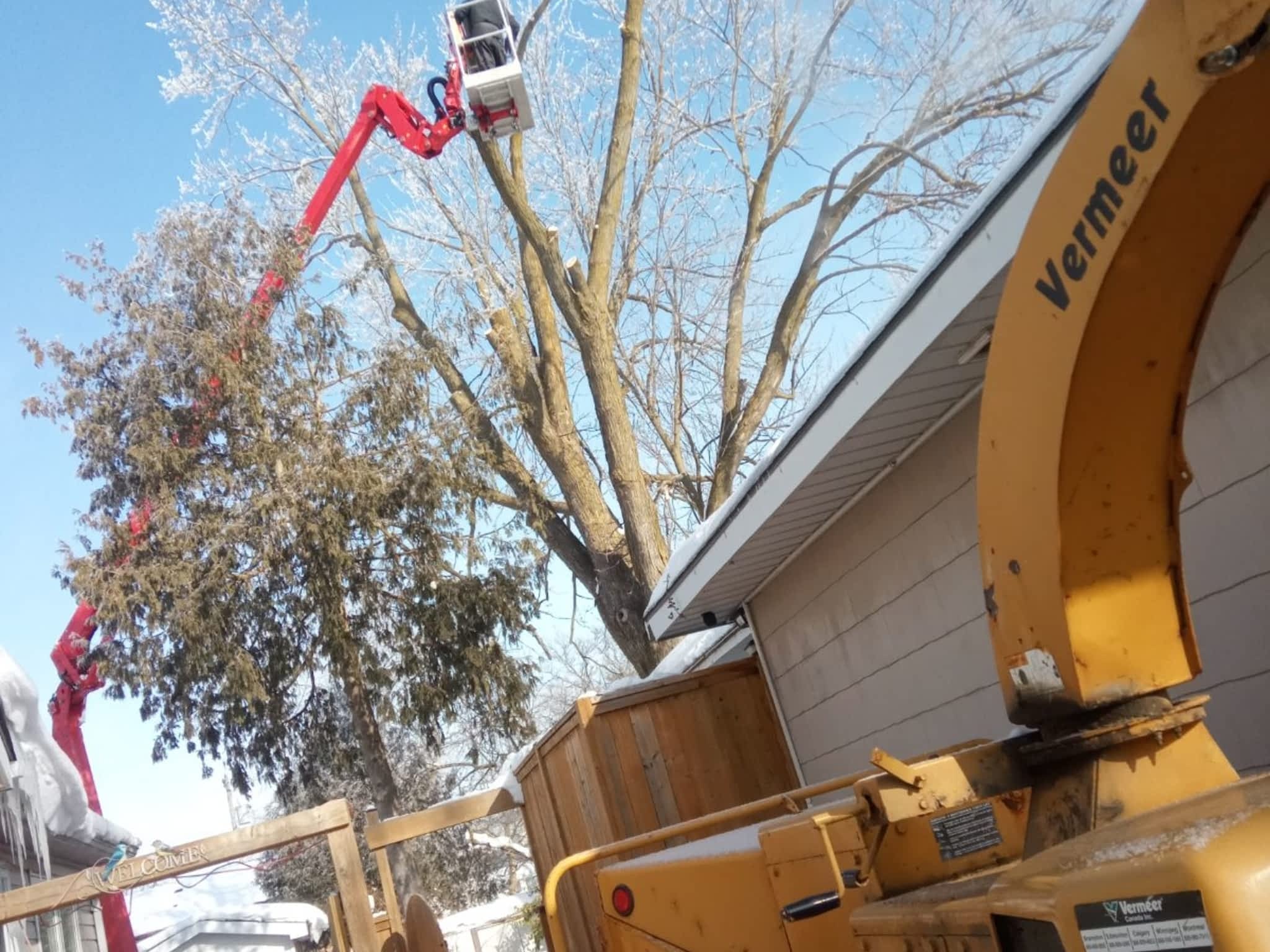 photo Kipfer Tree Service