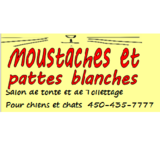 View Moustaches Et Pattes Blanches’s Bois-des-Filion profile