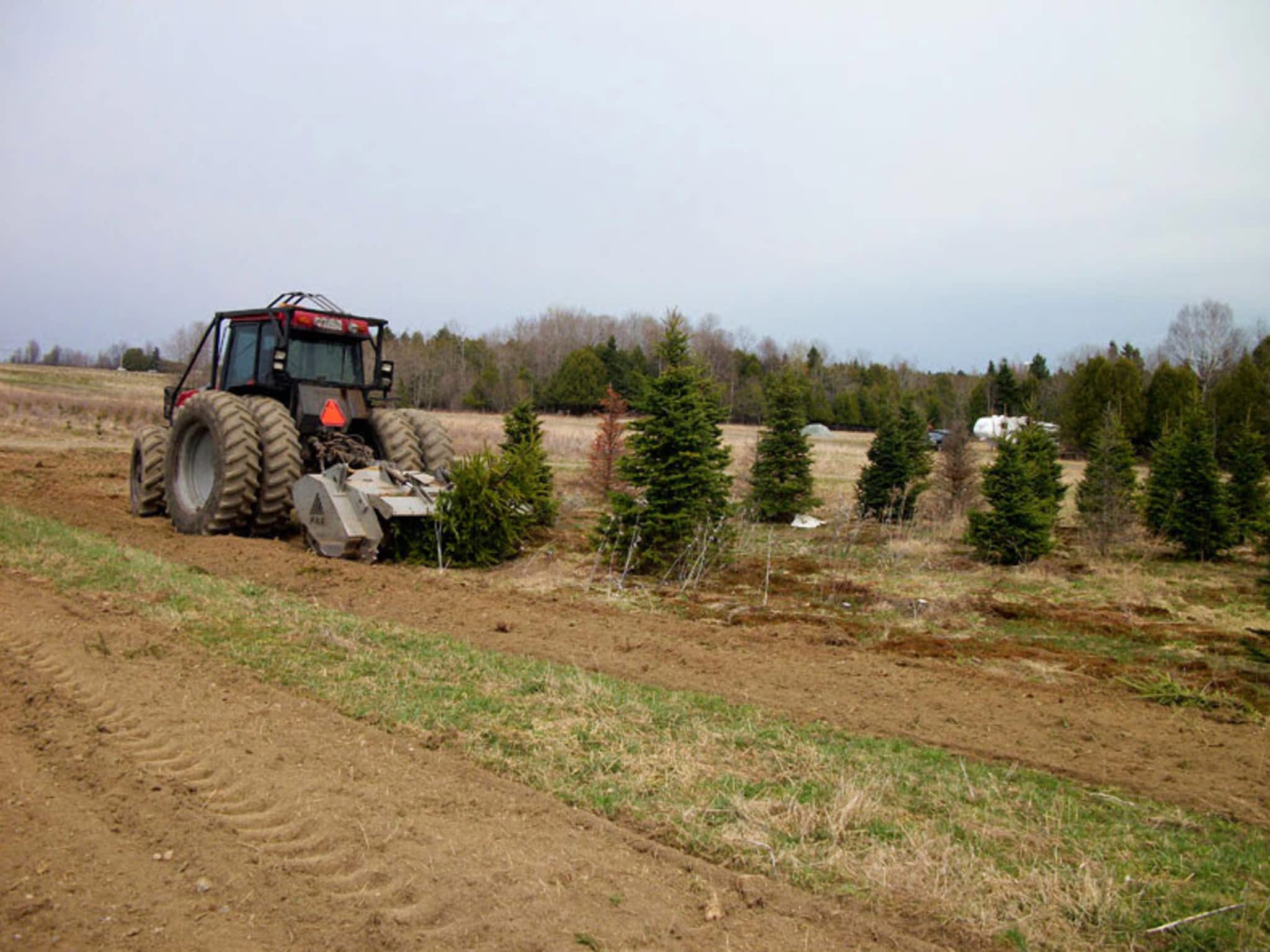 photo Émondage Bédard