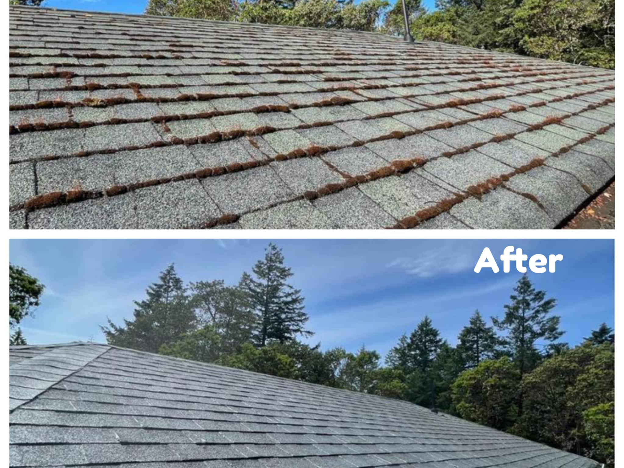 photo JBM Custom Contracting