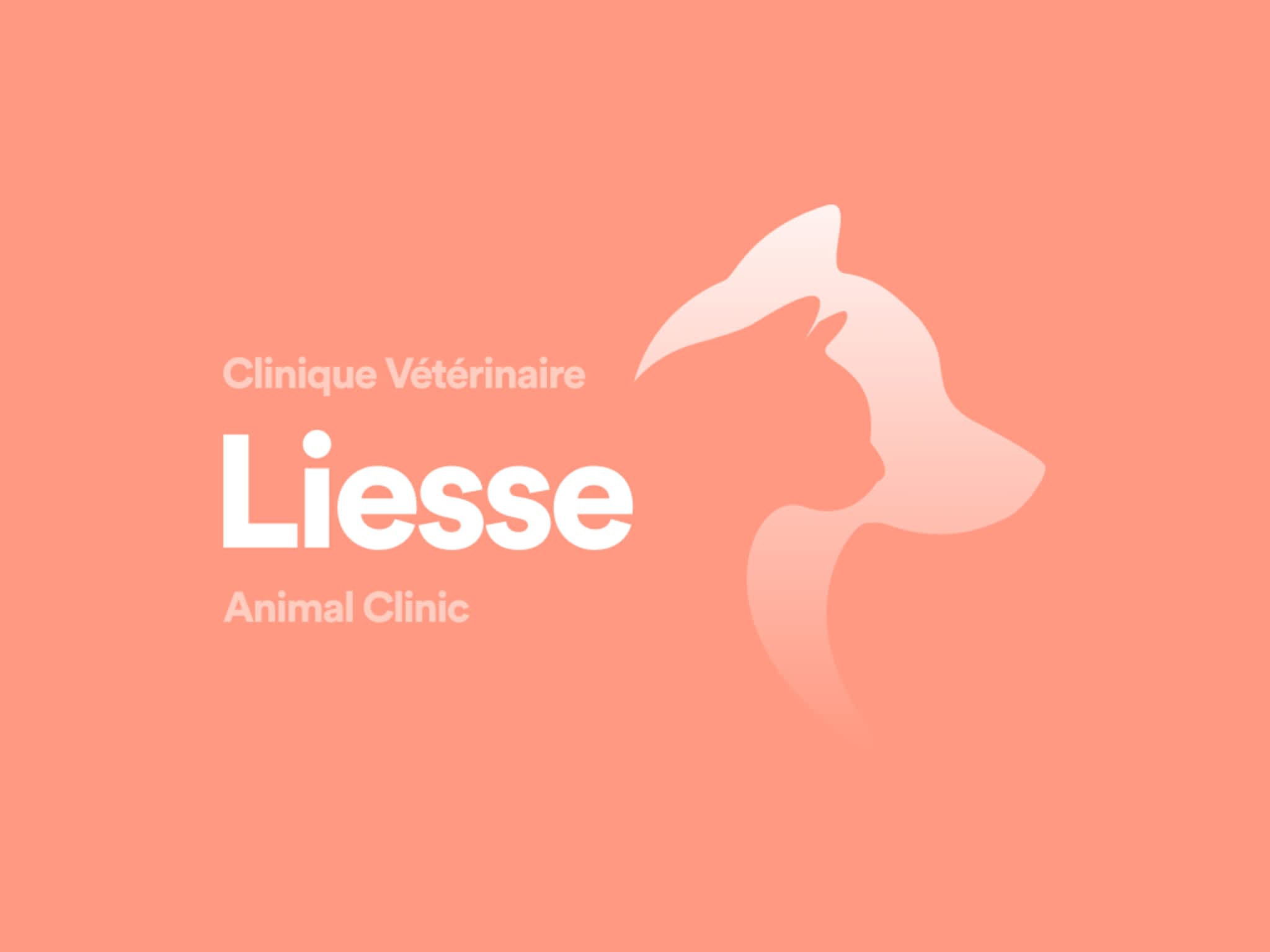 photo Clinique Vétérinaire Liesse Inc