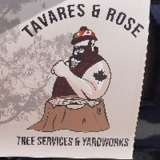 Voir le profil de Tavares & Rose Tree Services and Yardworks - Woodstock