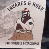 View Tavares & Rose Tree Services and Yardworks’s Woodstock profile