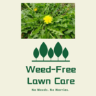 Weed-Free Lawn Care - Lawn Maintenance