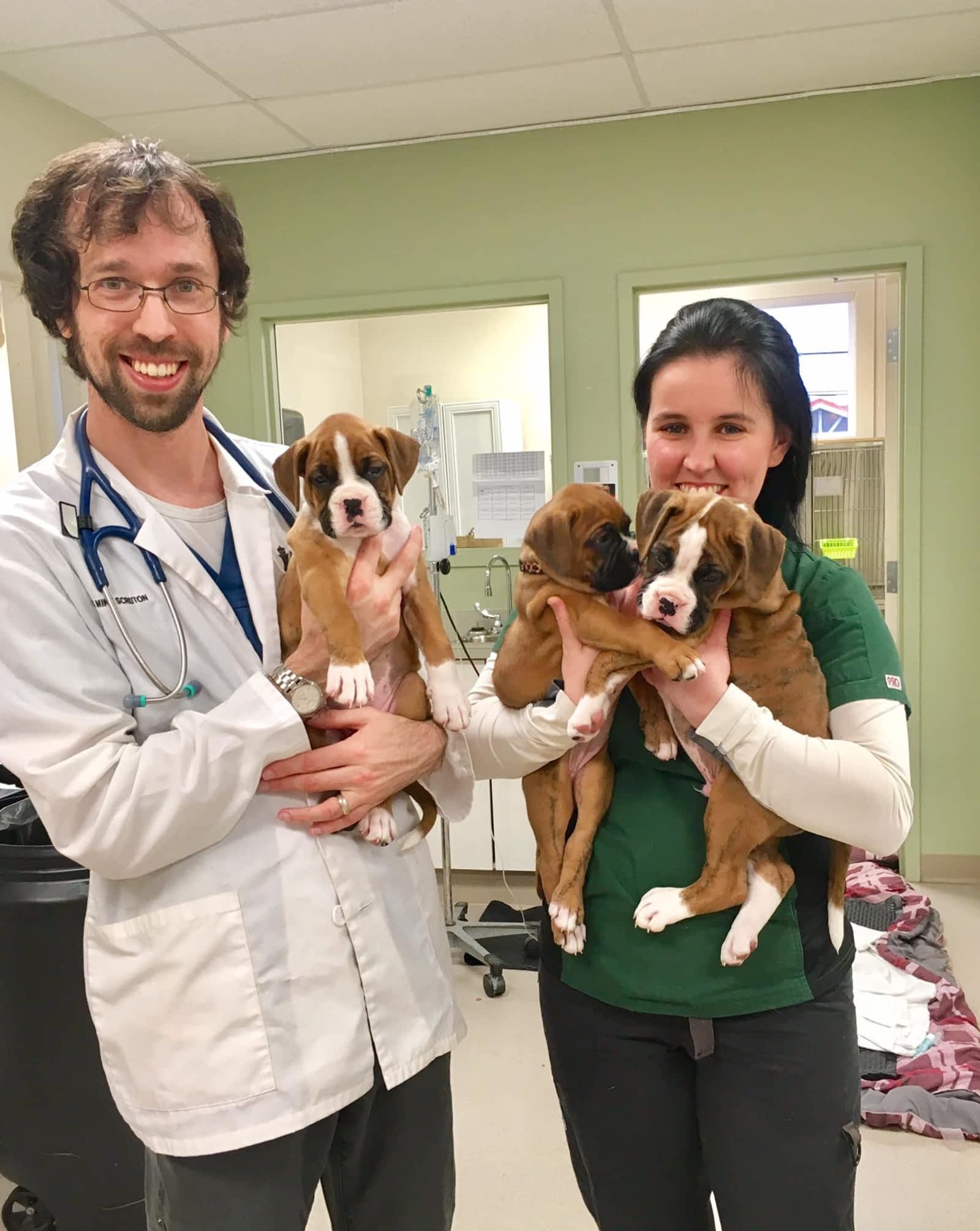 CBS Animal Hospital - Opening Hours - 4 Coffee Creek Pl, Conception Bay South, NL CBS Animal Hospital - Opening Hours - 4 Coffee Creek Pl, Conception Bay South, NL