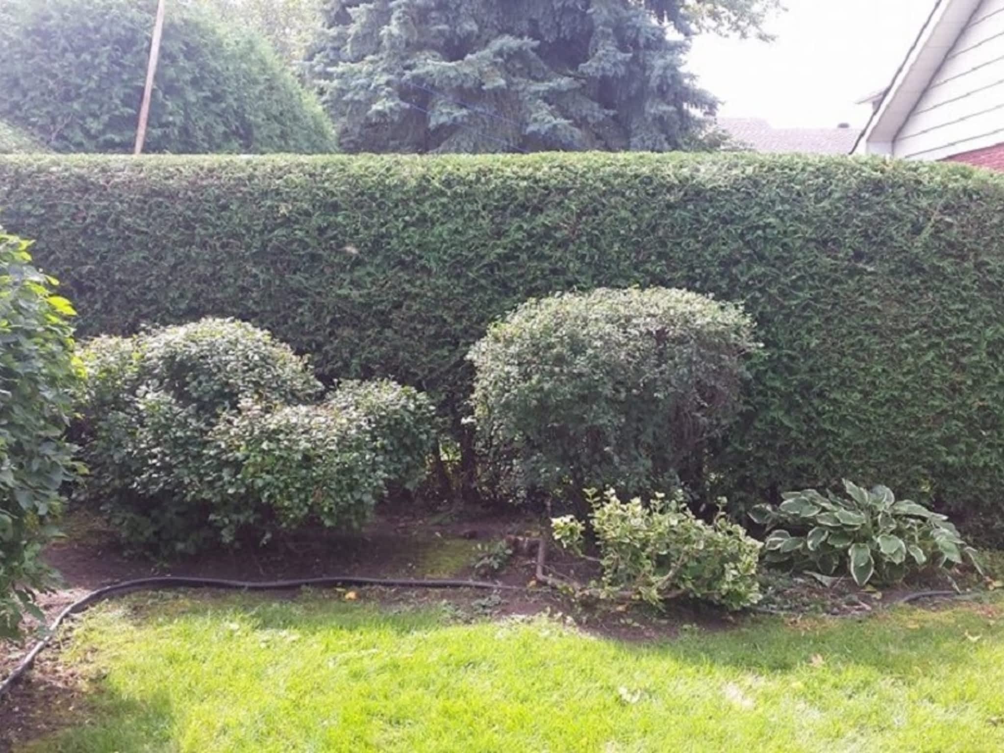 photo Green Machine Ottawa Hedge Trimming