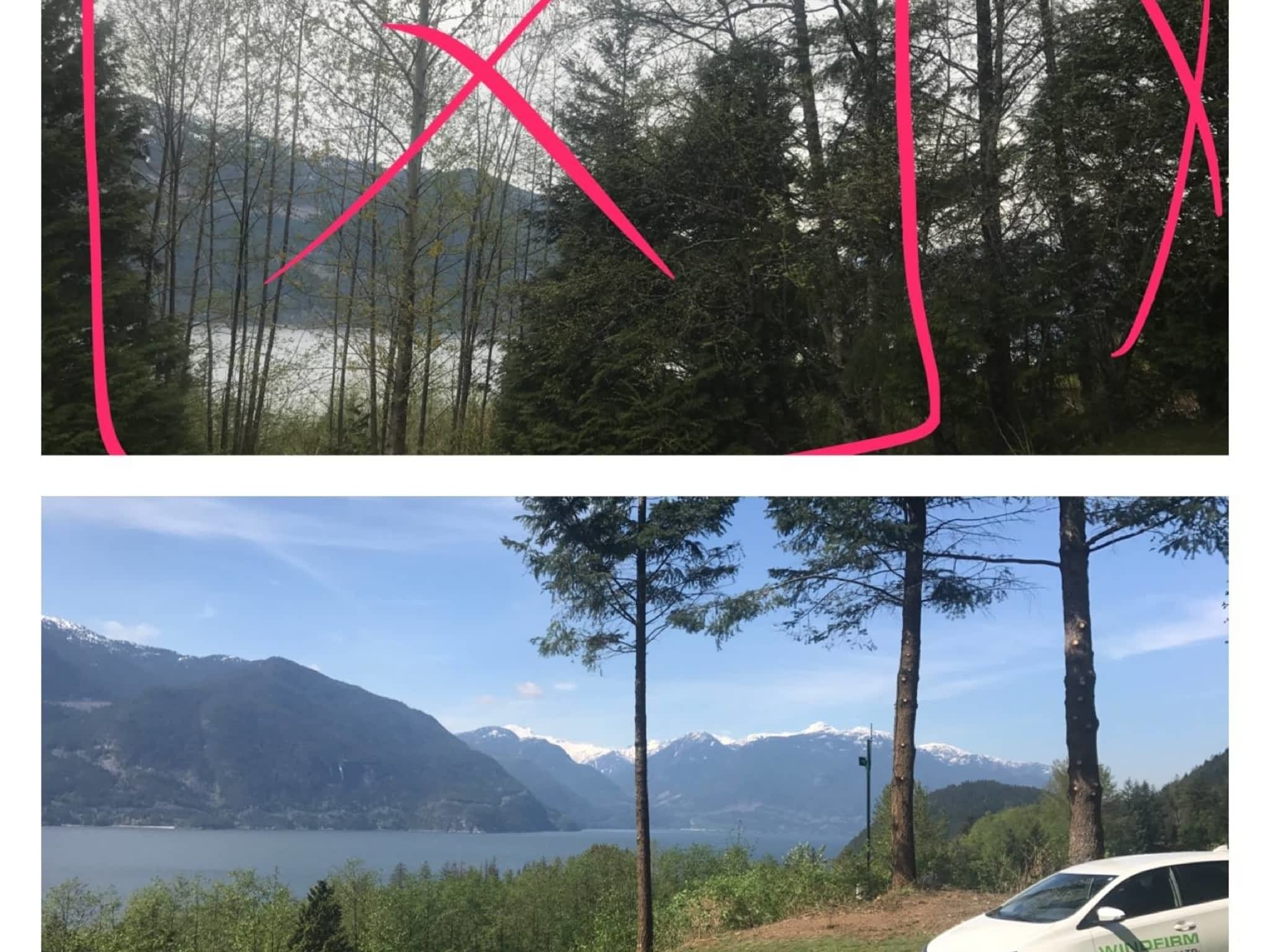 photo Windfirm Tree Services